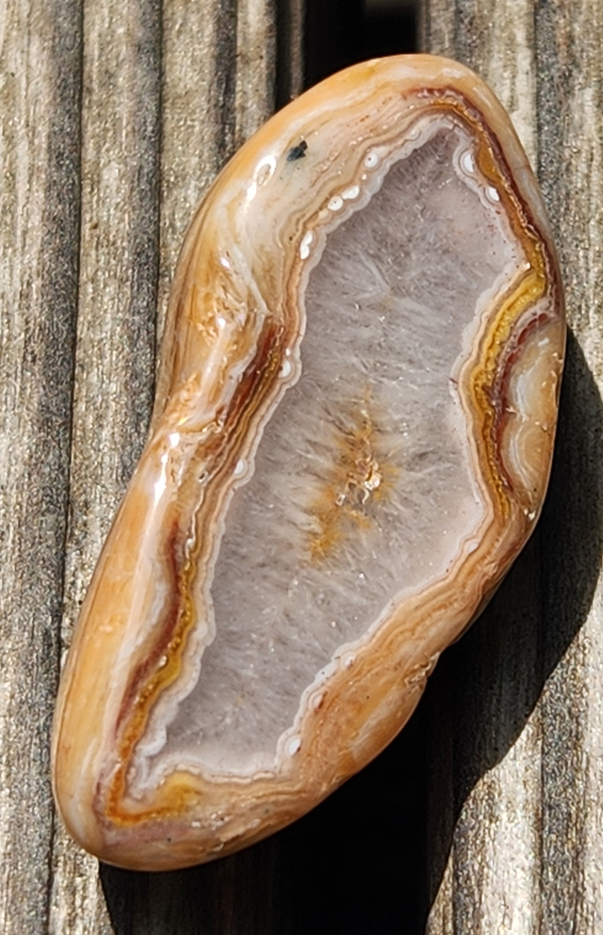 Polished banded agate featuring elongated fortification structure TA272