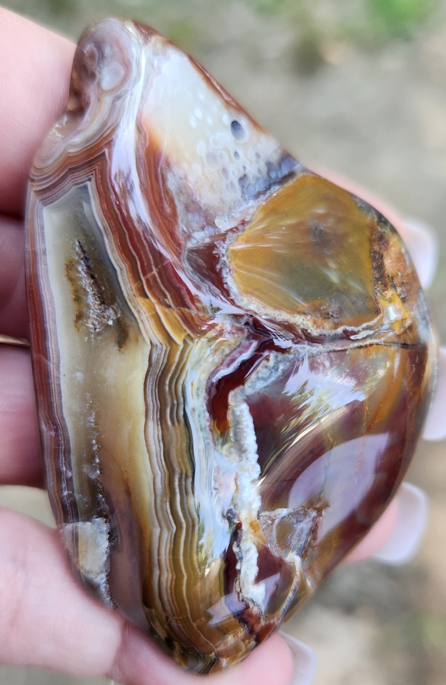 Polished Mexican Crazy Lace Agate featuring translucent honey pocket, TA355