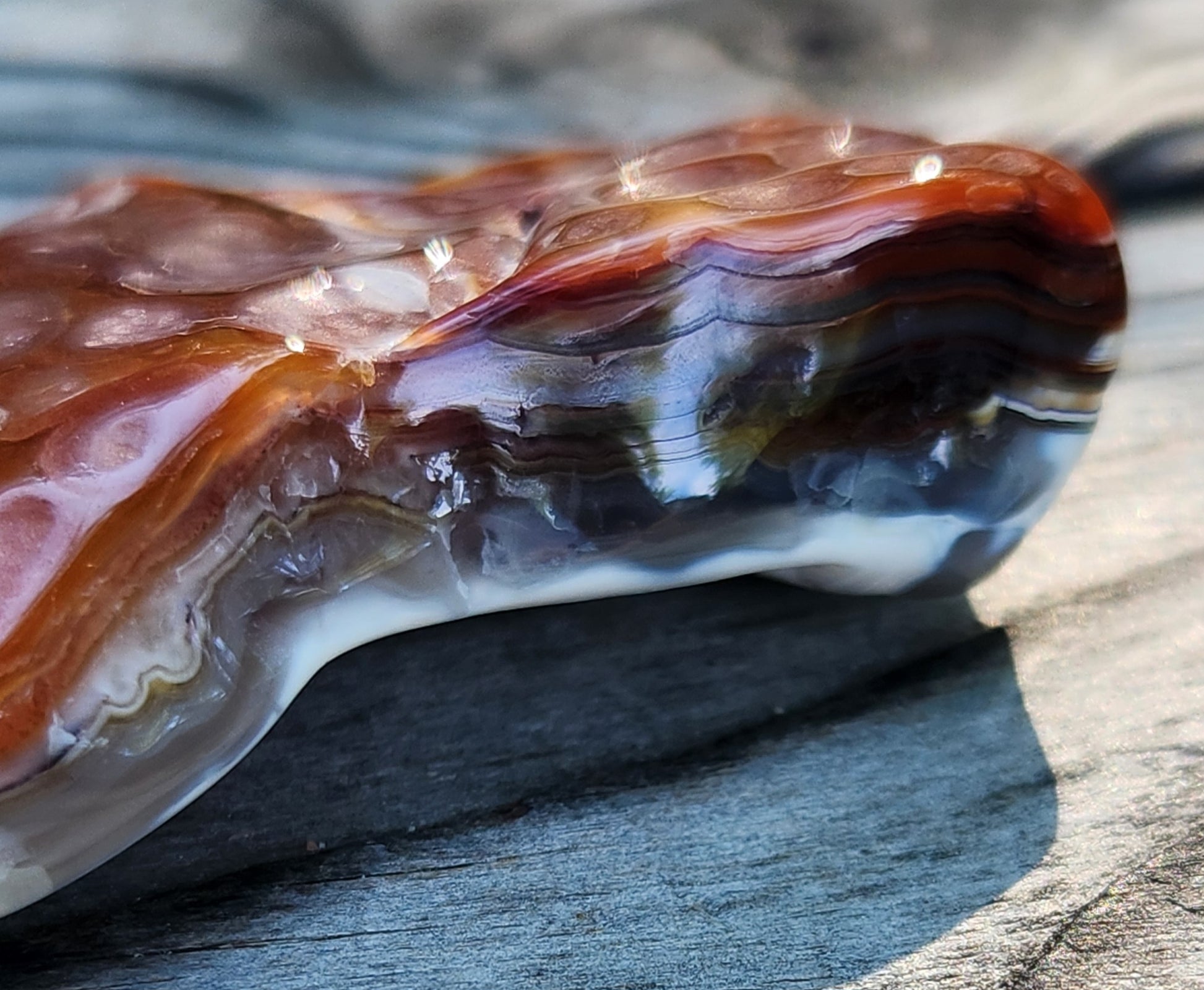 Polished Mexican Crazy Lace Agate featuring rich red-brown coloration, TA357