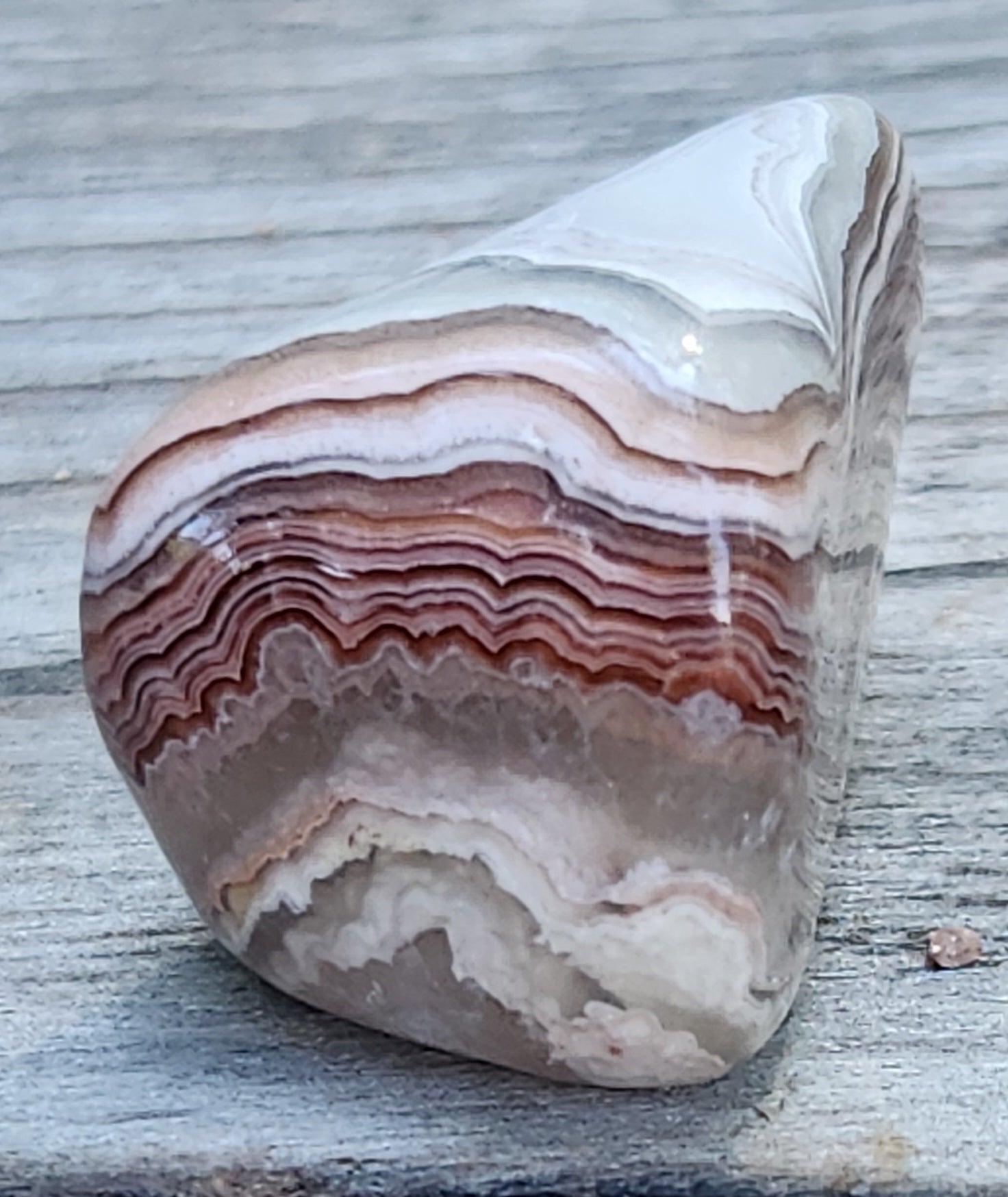 Polished Mexican Crazy Lace Agate featuring crisp parallel band structure, TA358