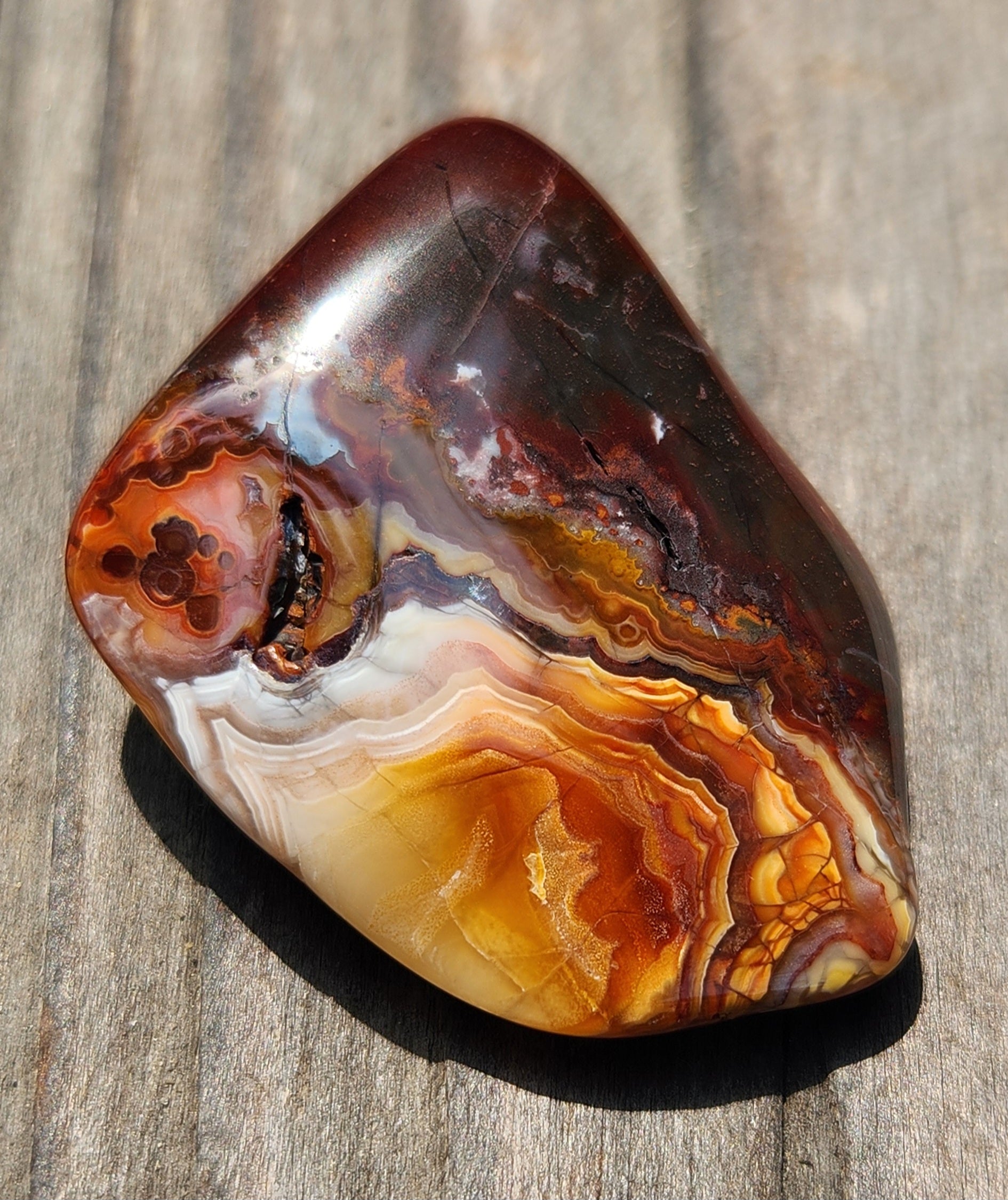 Polished Mexican Crazy Lace Agate featuring caramel and golden fortification bands, TA369