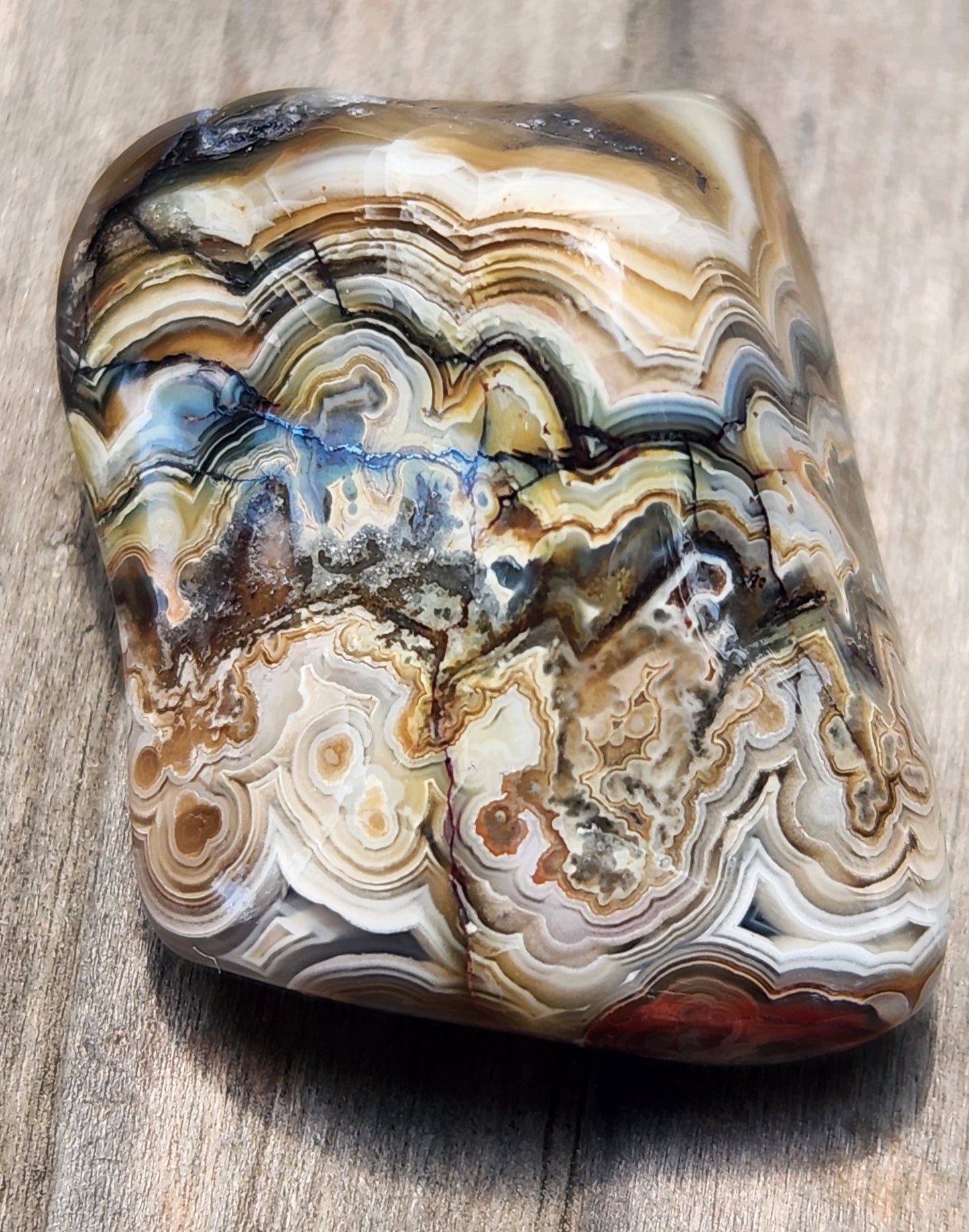 Polished Mexican Crazy Lace Agate showing layered cream and dark accent bands, TA370
