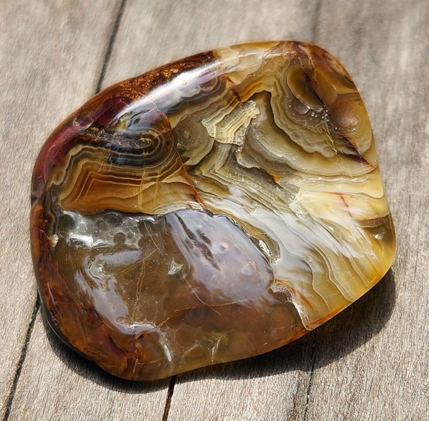 Polished Mexican Crazy Lace Agate featuring iron-rich red and brown zones, TA371