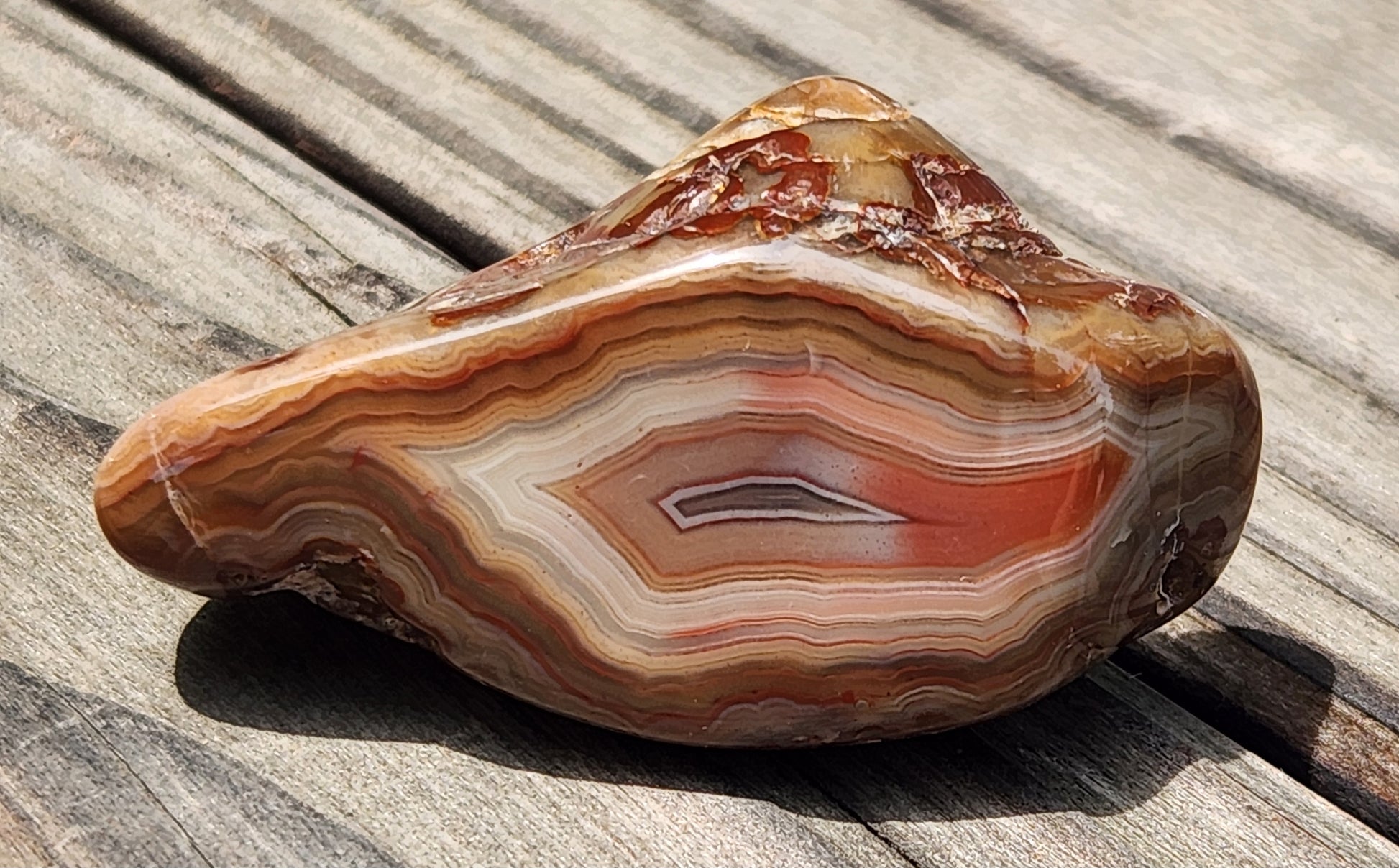 Large Mexican fortification agate with bold red and cream banding TA263