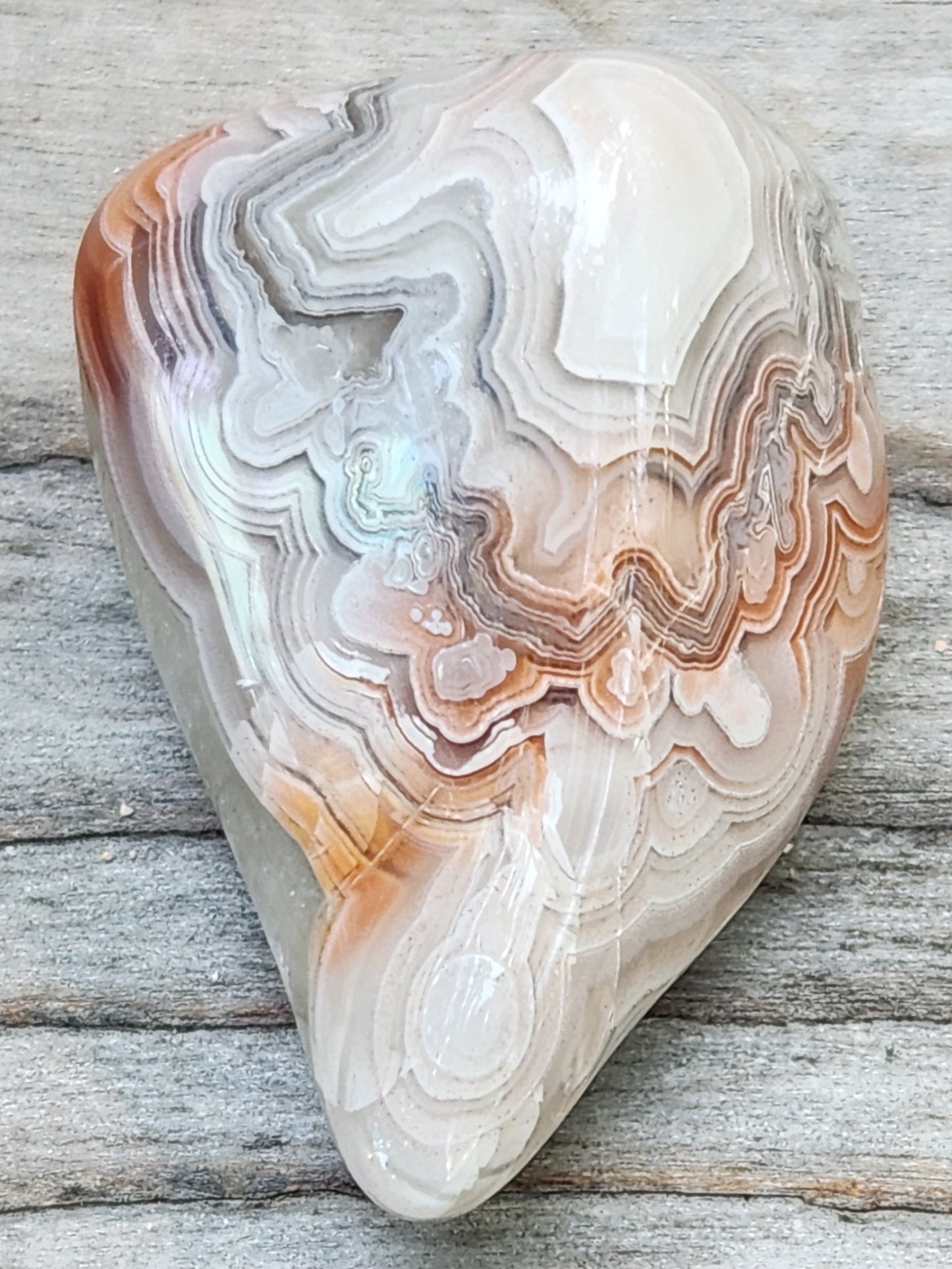 Mexican Crazy Lace Agate with soft layered fortification lines, TA356