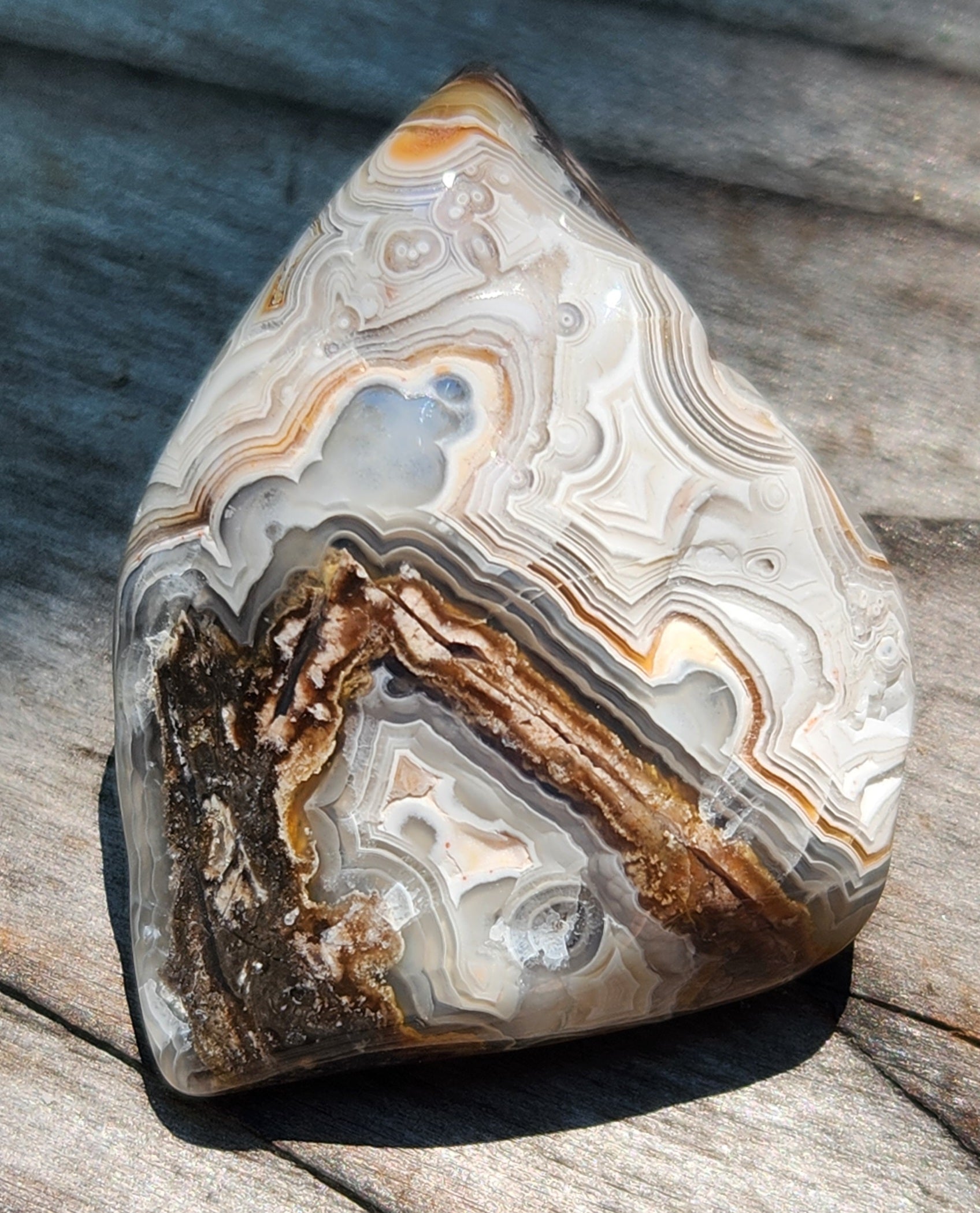 Polished Mexican Crazy Lace Agate featuring natural iron seam detail, TA361