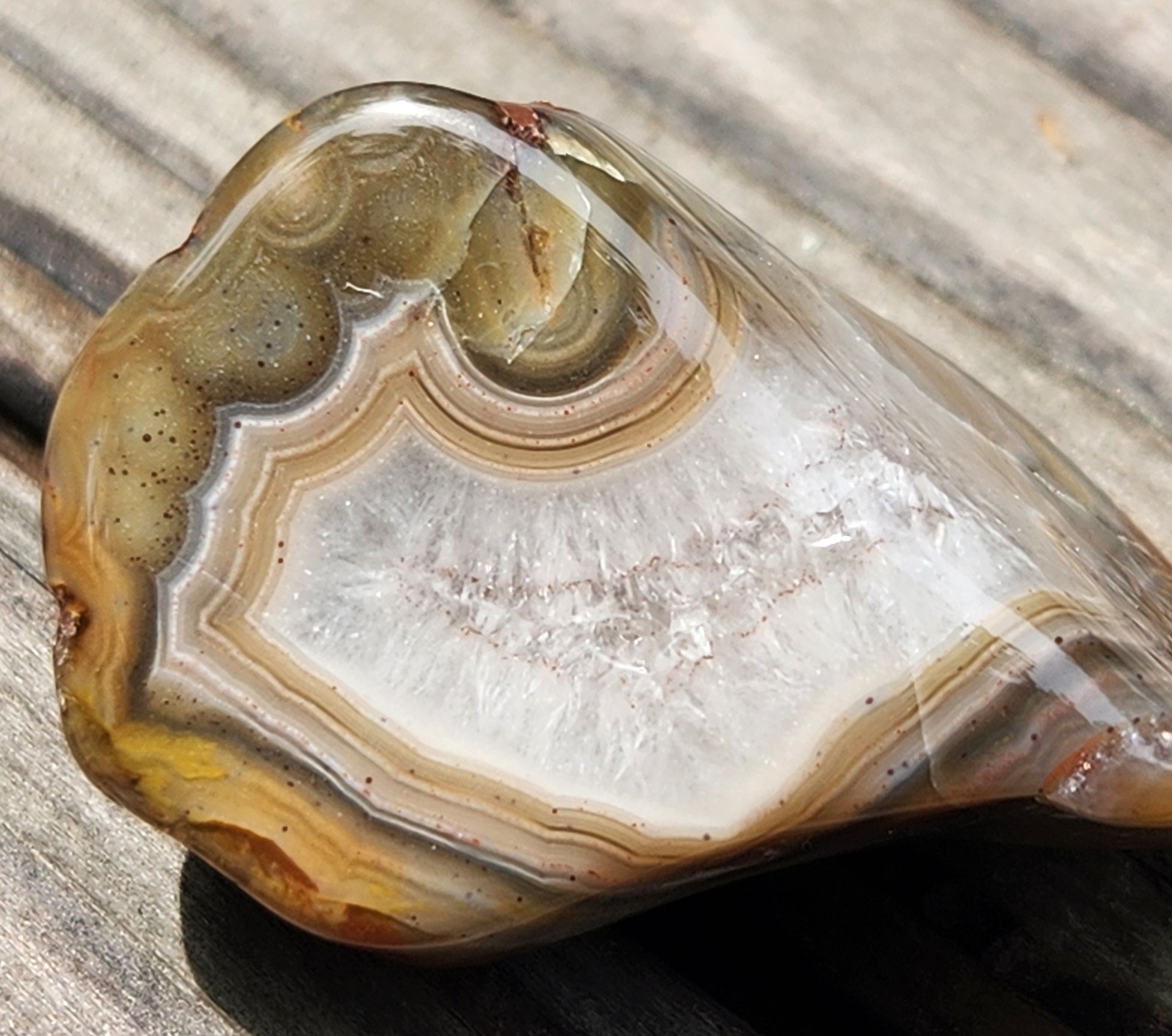 Close view of layered olive and caramel bands TA273