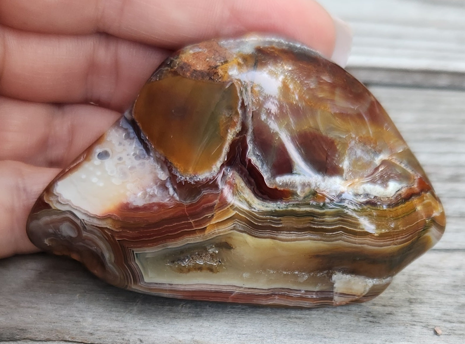Mexican Crazy Lace Agate with high contrast fortification lines, TA355