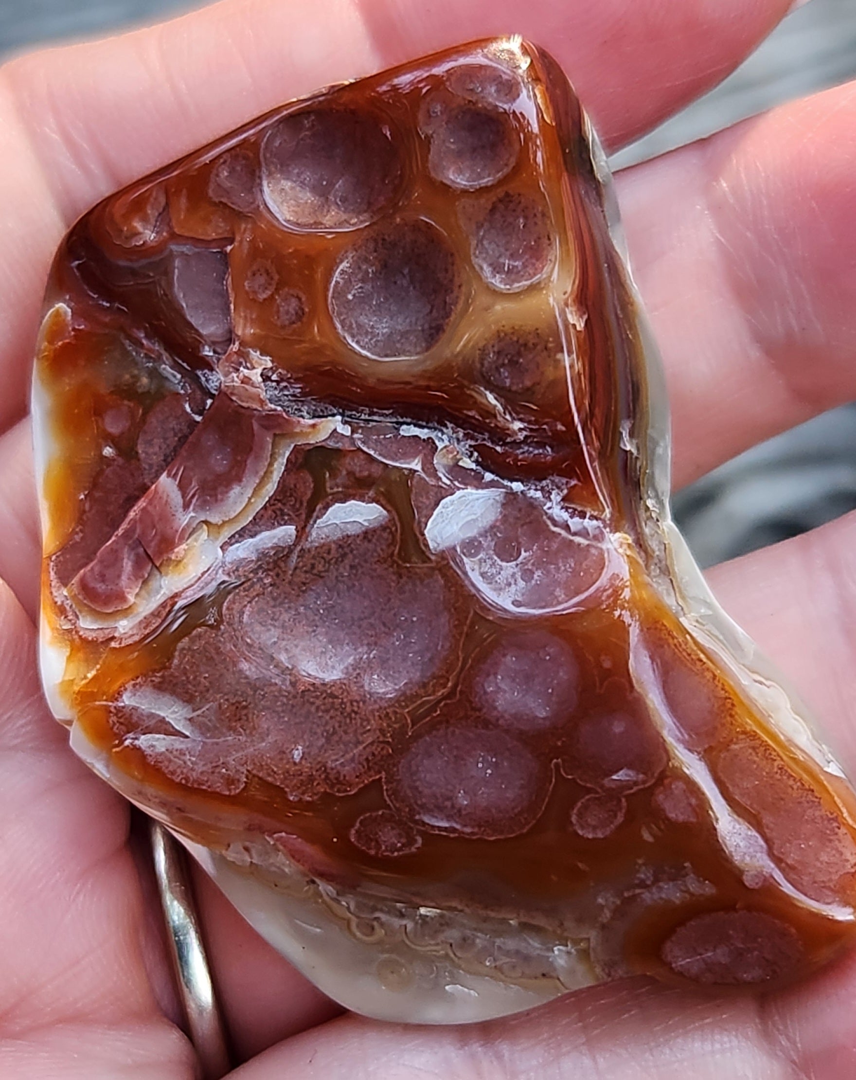 Orbicular patterned Crazy Lace Agate suitable for collectors, TA357