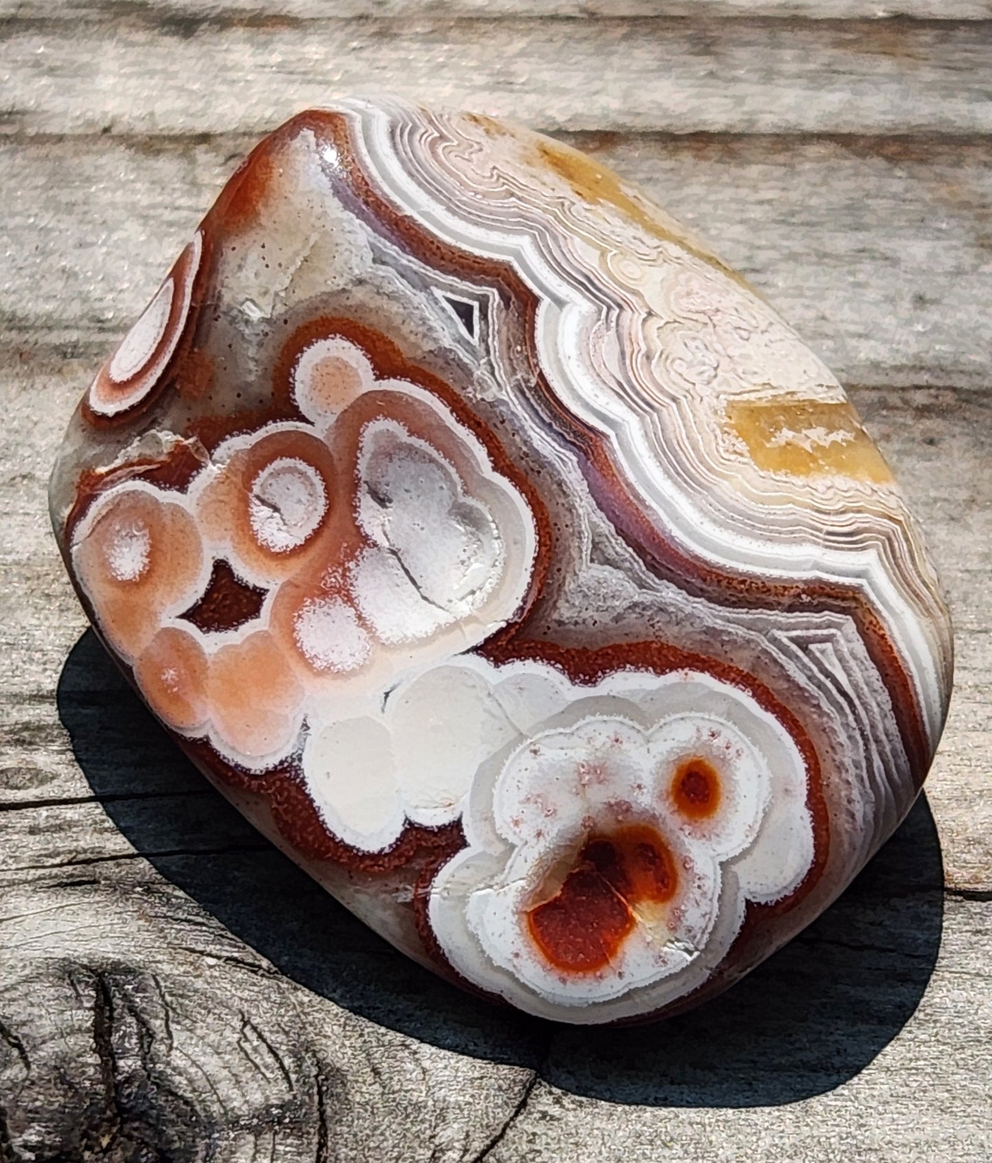 Mexican Crazy Lace Agate with orbicular eye formations, TA364