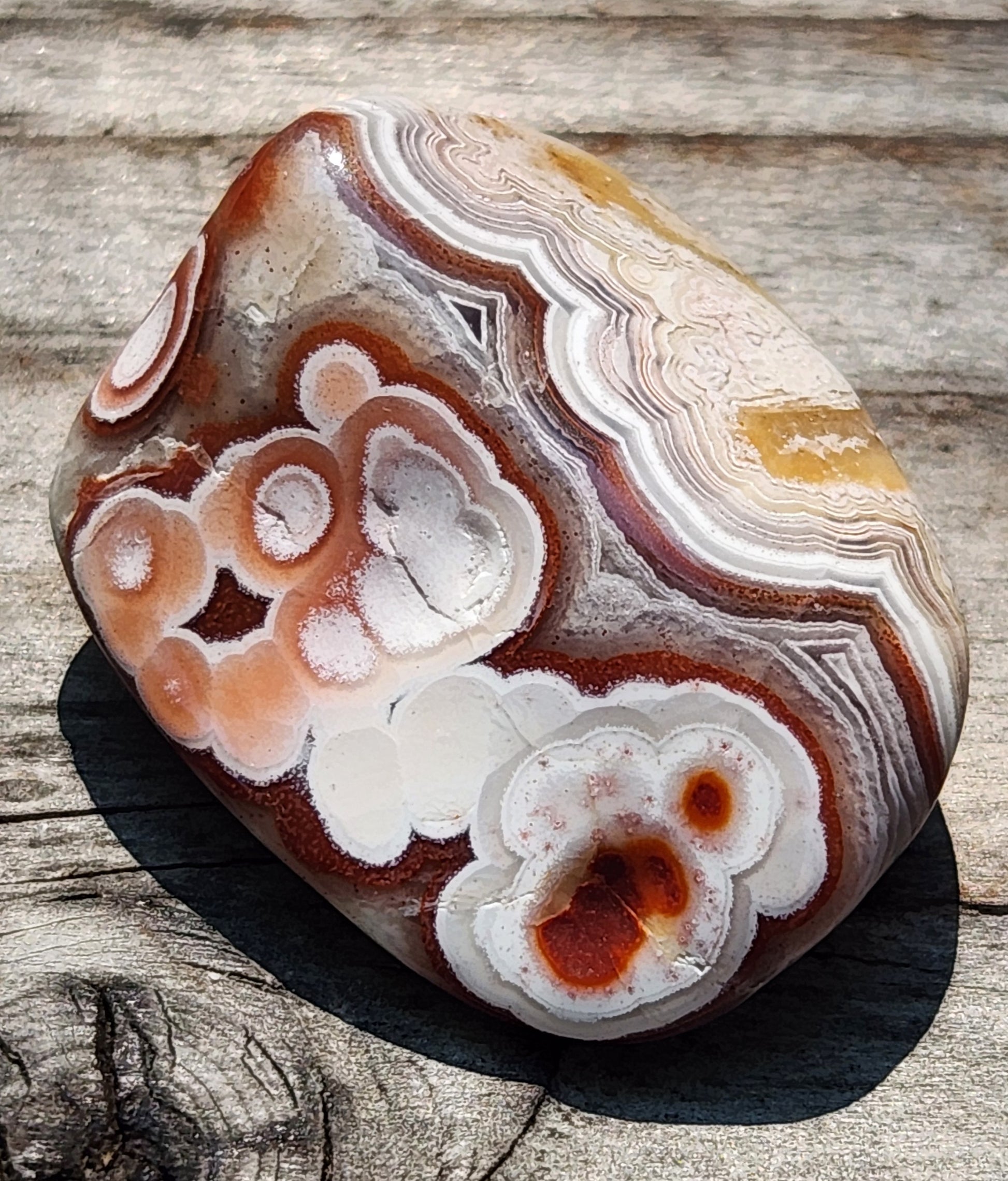 Mexican Crazy Lace Agate with orbicular eye formations, TA364