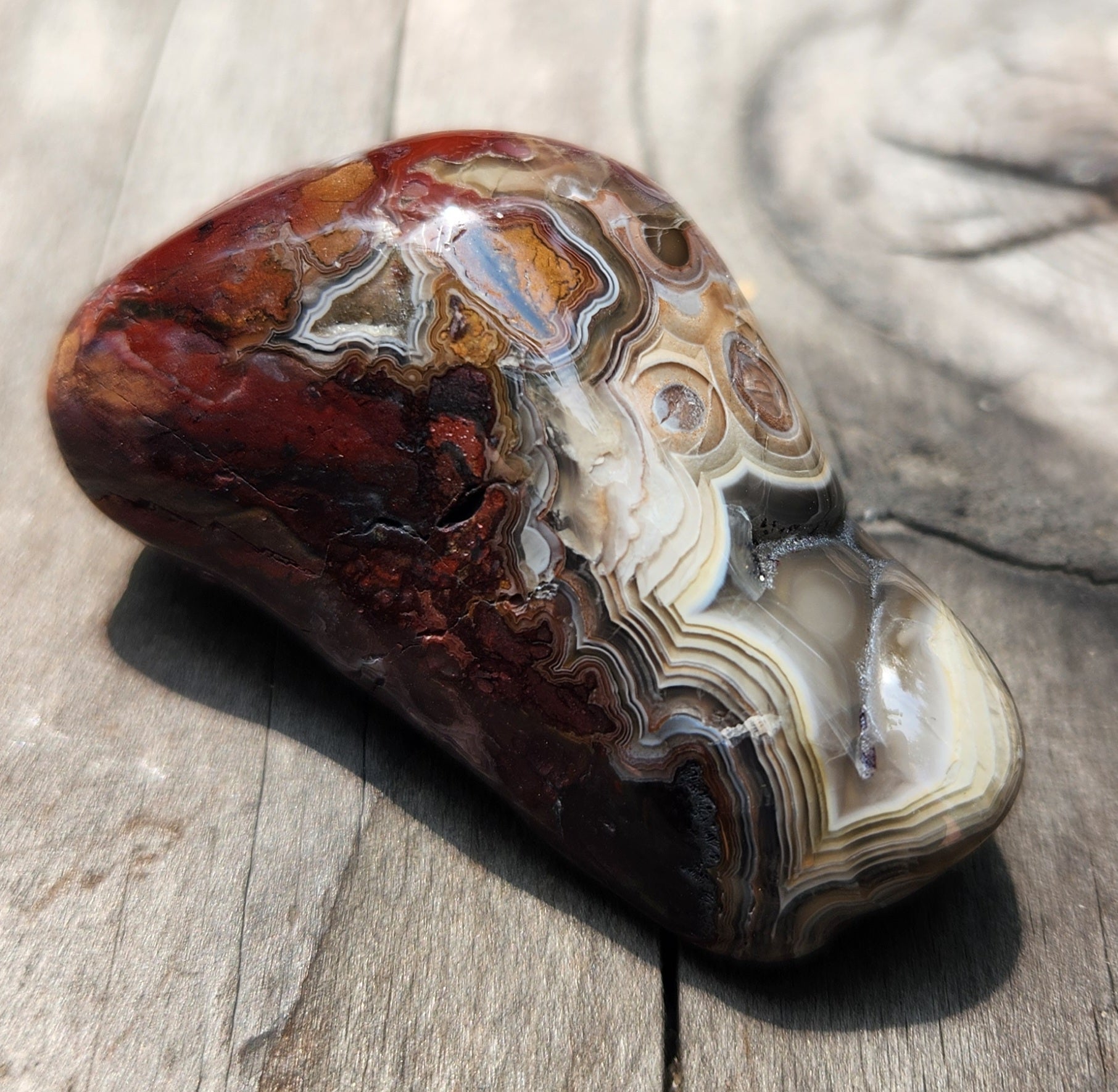 Polished Mexican Crazy Lace Agate featuring orbicular eye structures TA367