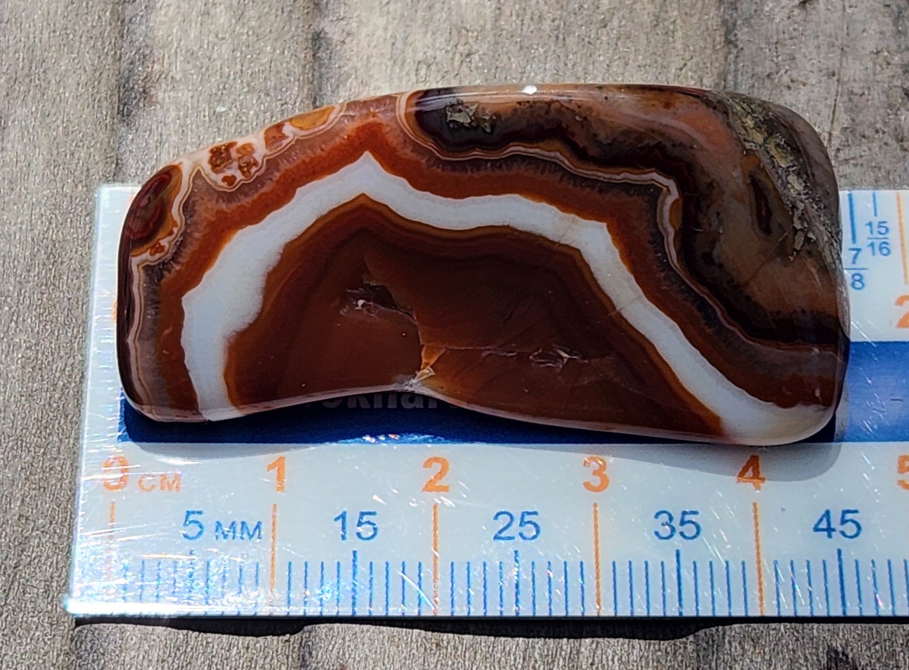 Mexican banded agate shown with ruler for scale TA268