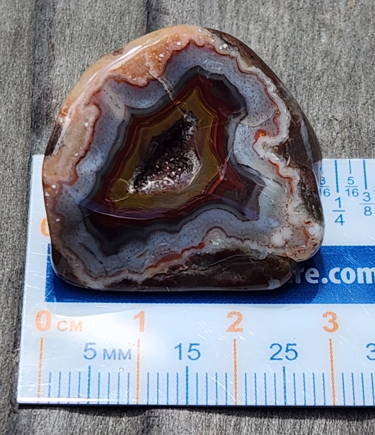 Mexican Fortification Agate shown with ruler for scale TA269