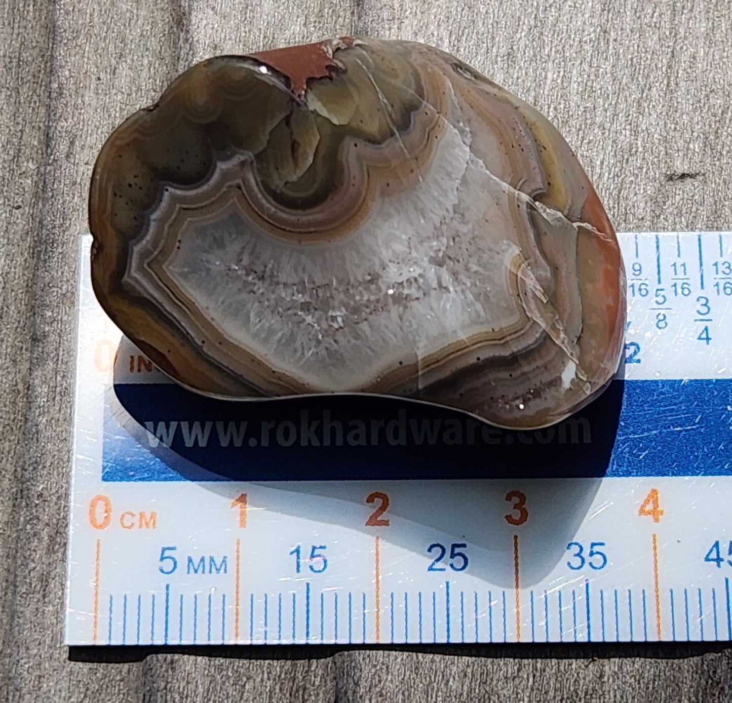 Mexican banded agate shown with ruler for scale TA273
