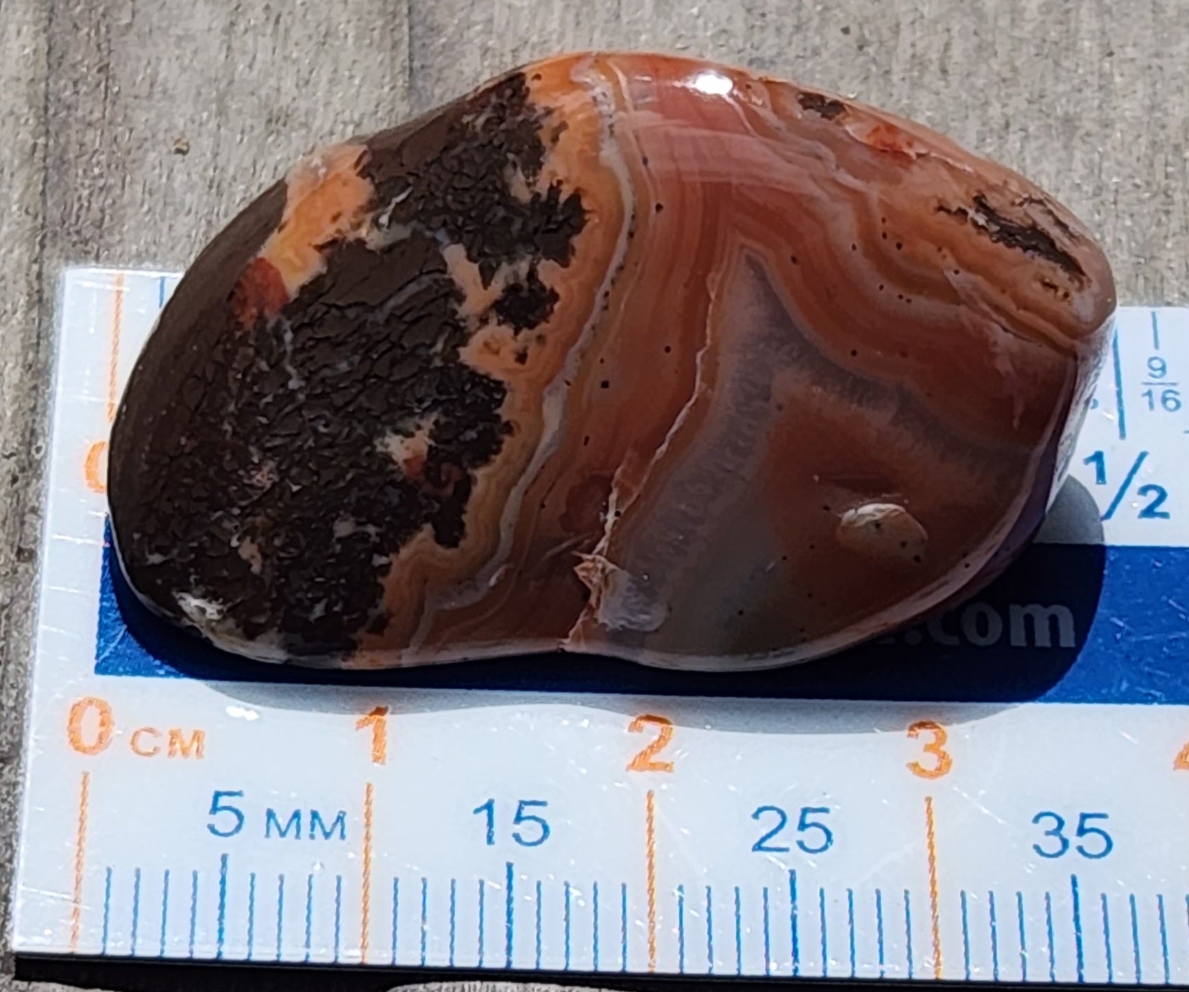 Mexican Fortification Agate shown with ruler for scale TA277