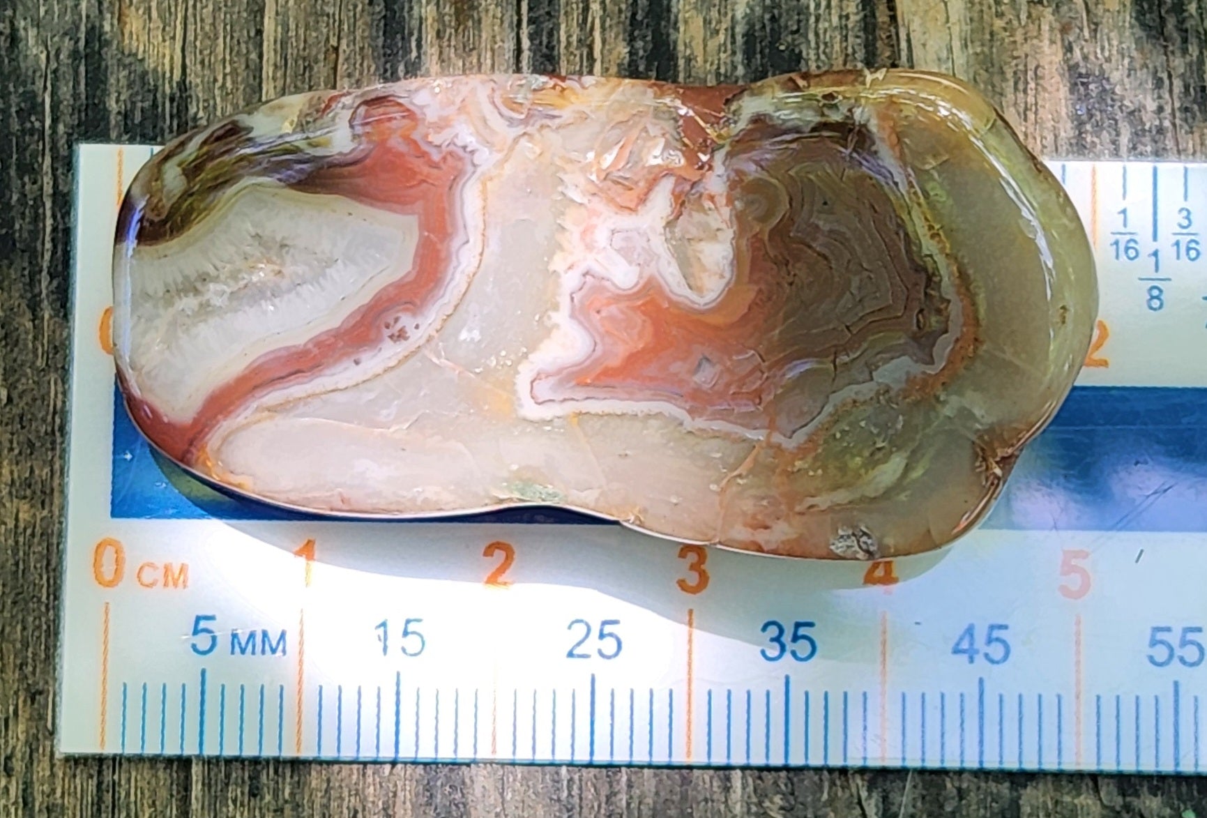 Mexican Fortification Agate shown with ruler for size reference TA266