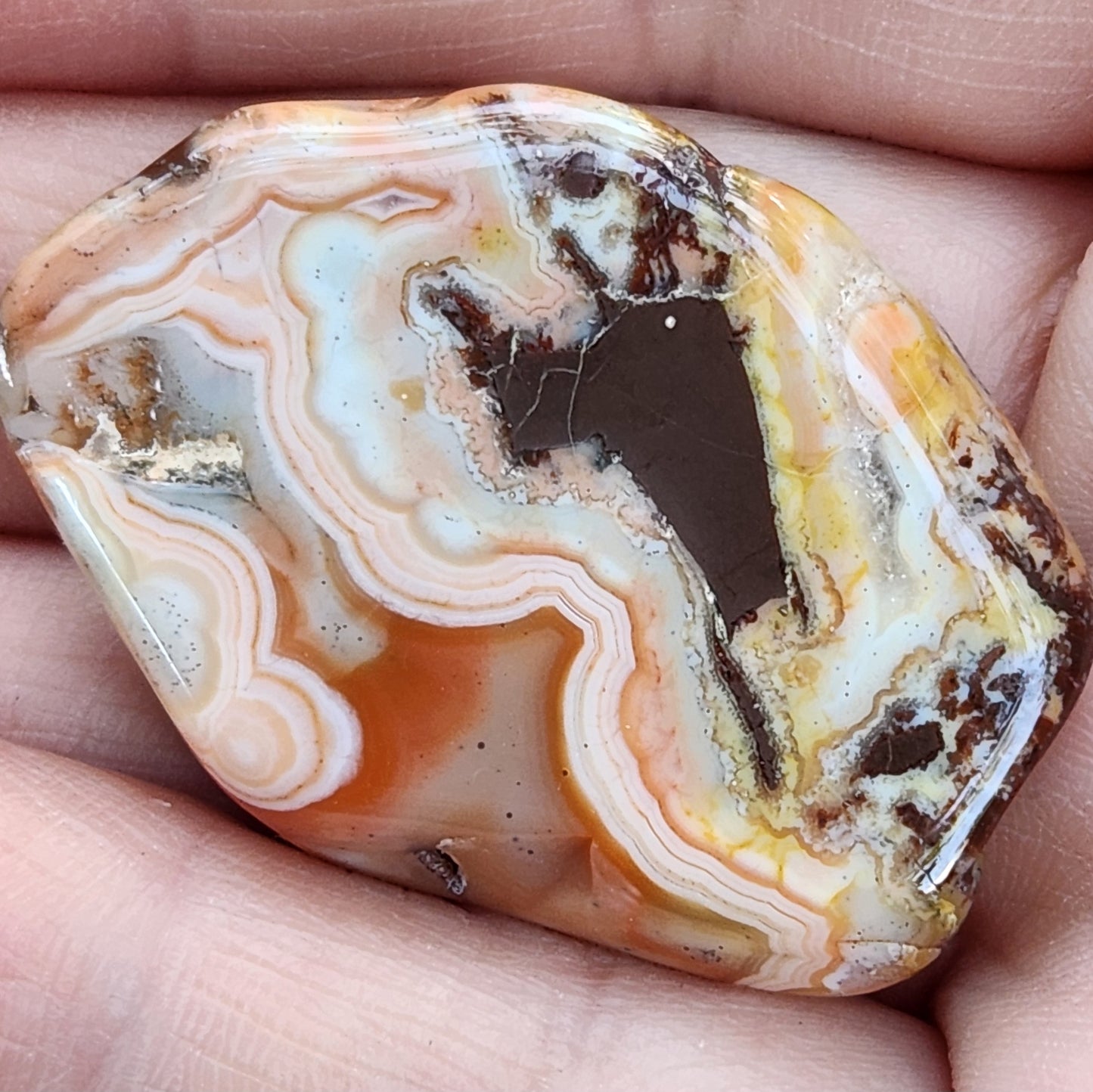 Mexican banded agate with brown center TA334