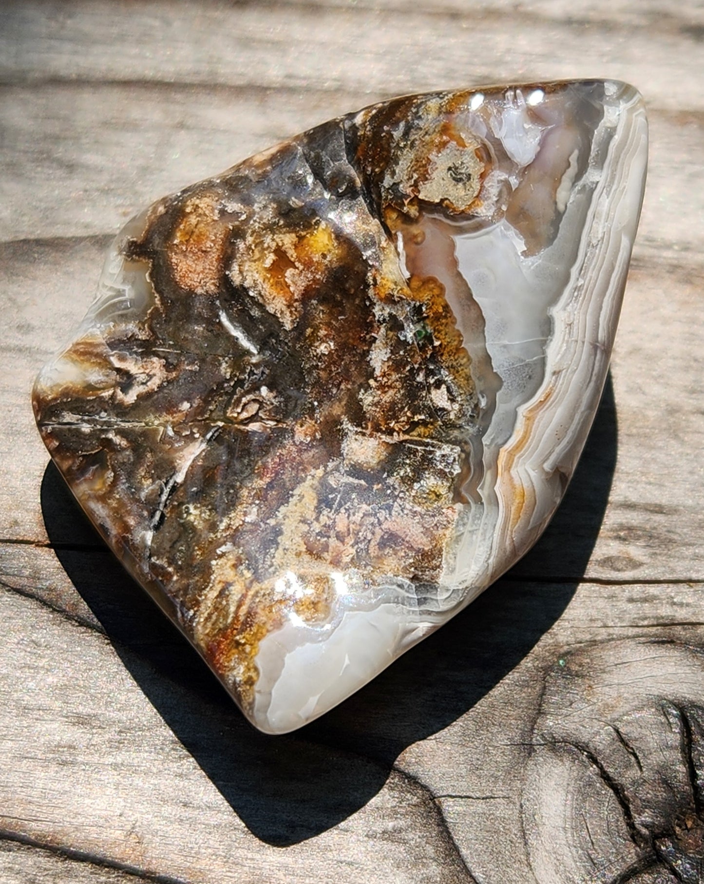 Mexican Crazy Lace Agate featuring natural iron seam detail, TA361