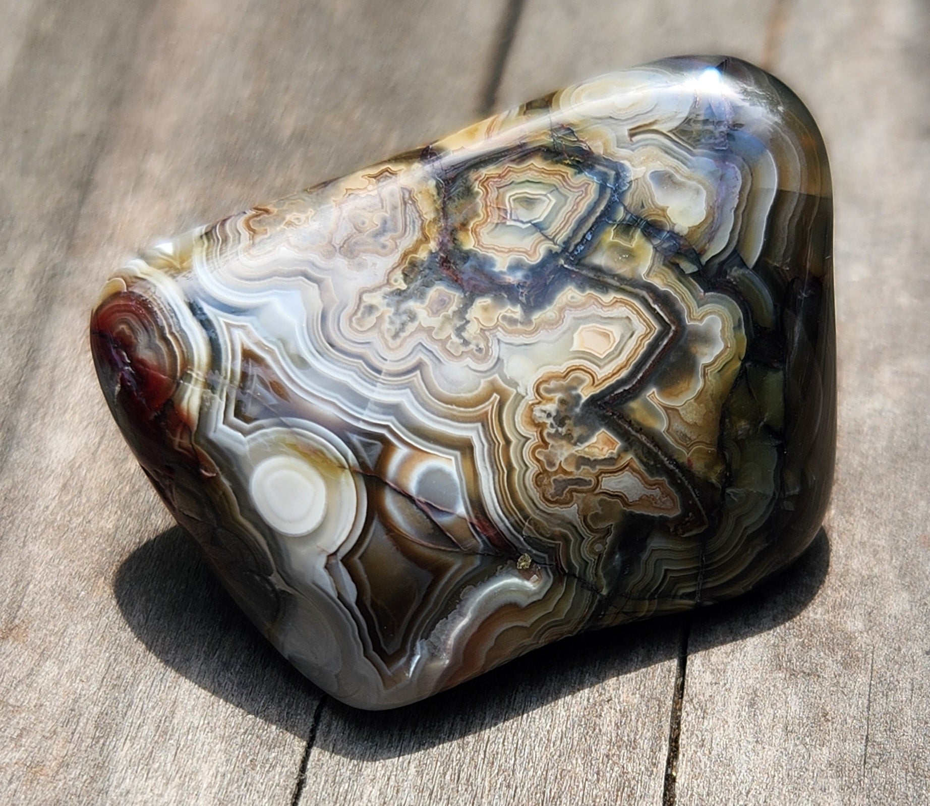 Mexican Crazy Lace Agate with complex fortification banding, TA370