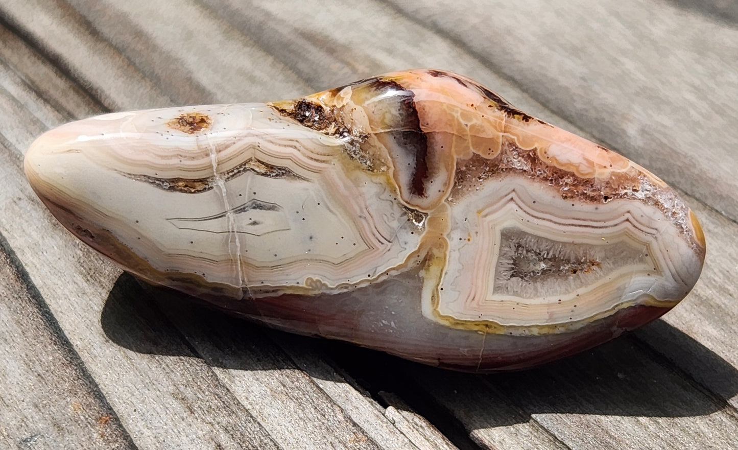 Mexican Fortification Agate with dual banded centers TA274