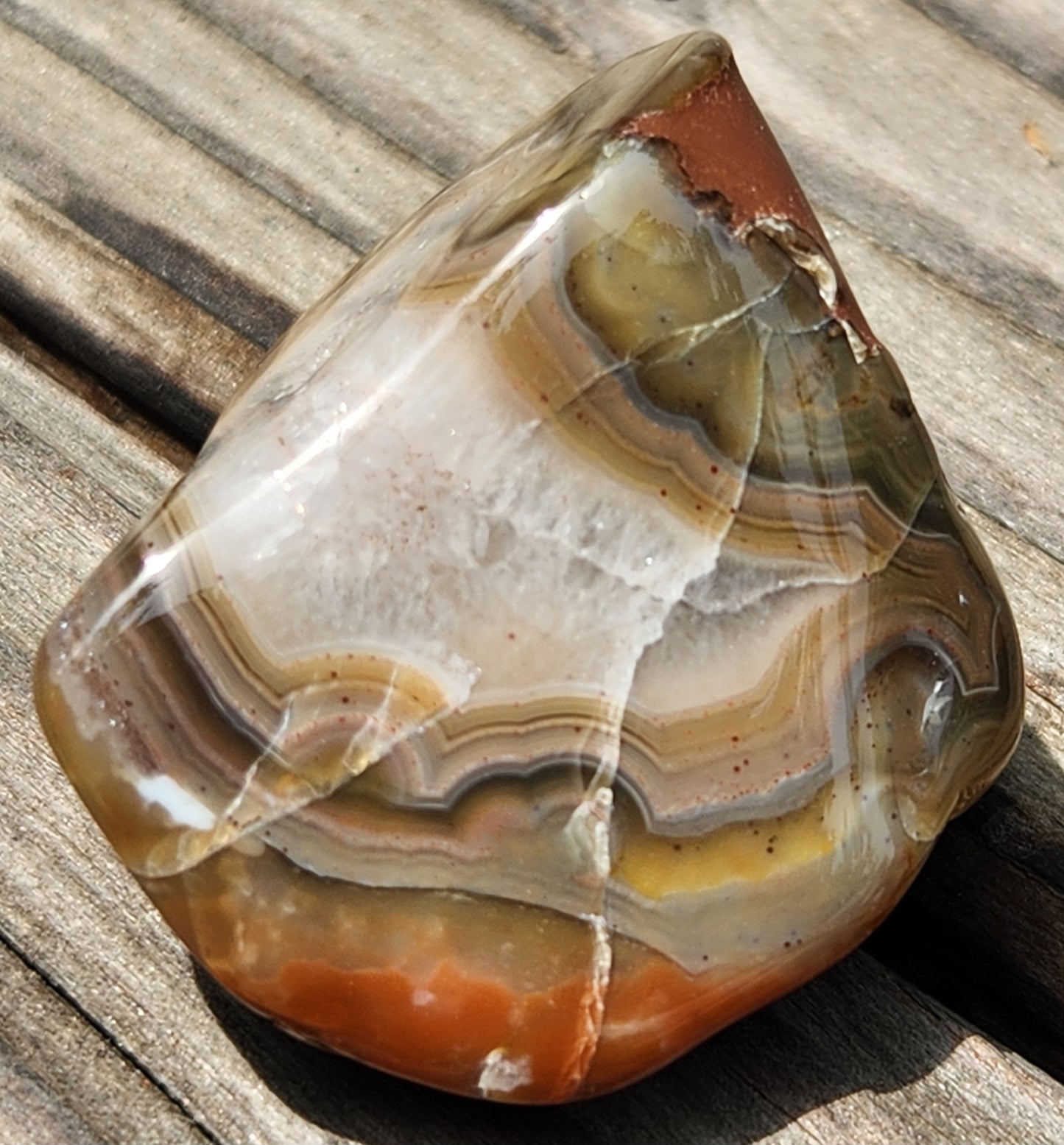Mexican Fortification Agate with olive and cream banding TA273