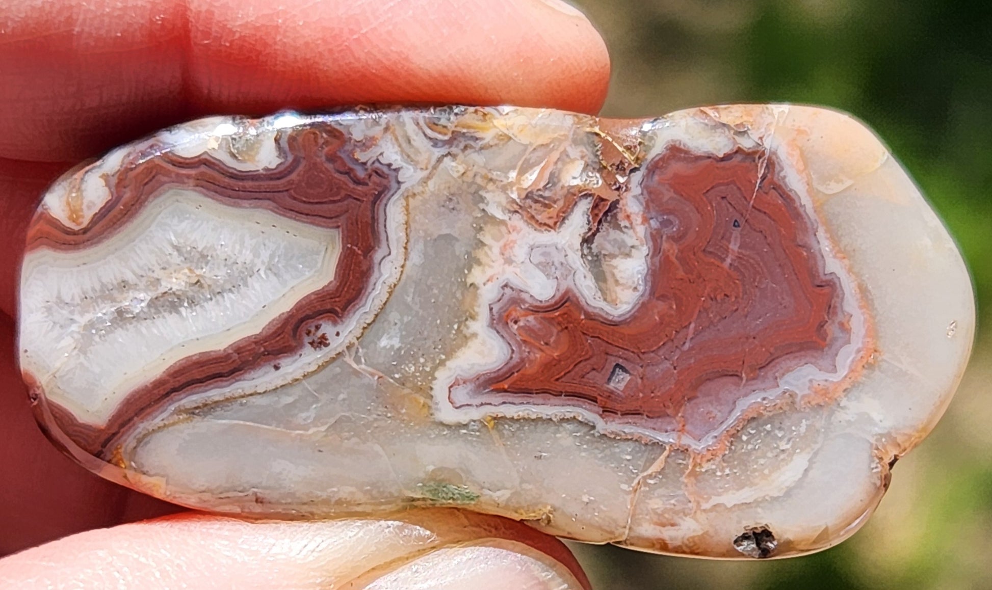 In-house tumbled Mexican Fortification Agate with red core banding TA266