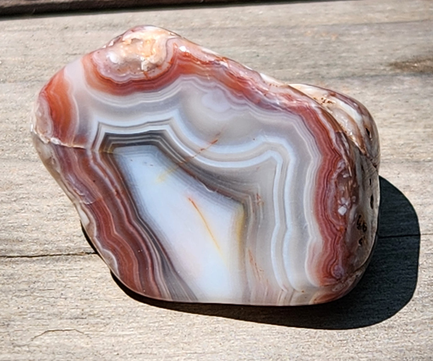 Mexican fortification agate with red outer band TA330