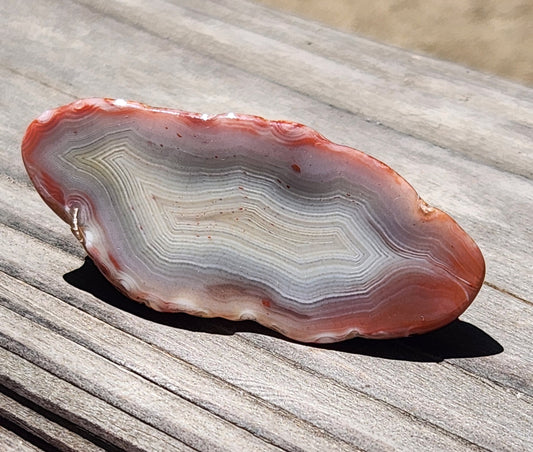 Mexican Fortification Agate with ultra fine parallel banding TA324
