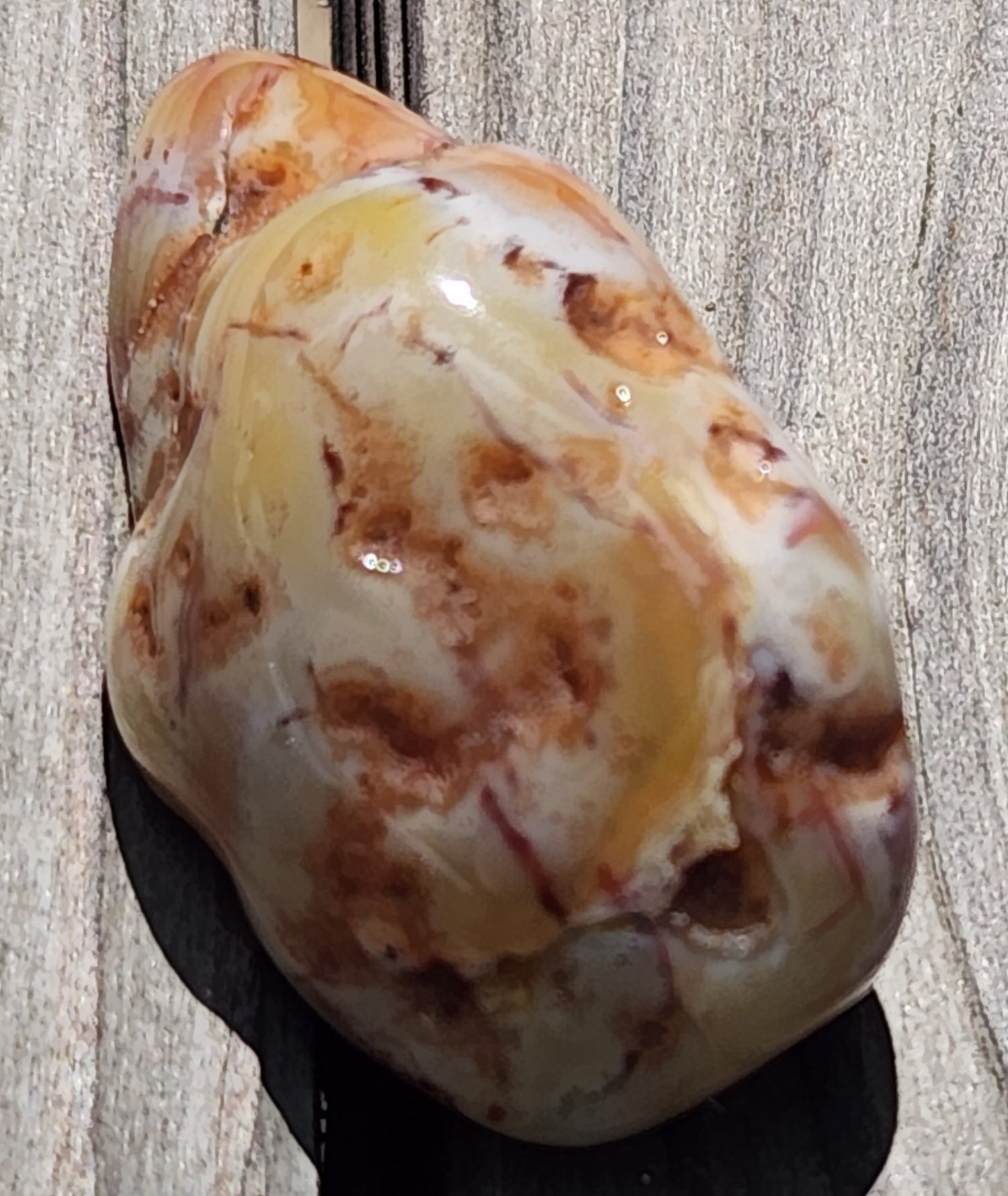 Close view of smooth chalcedony body TA276