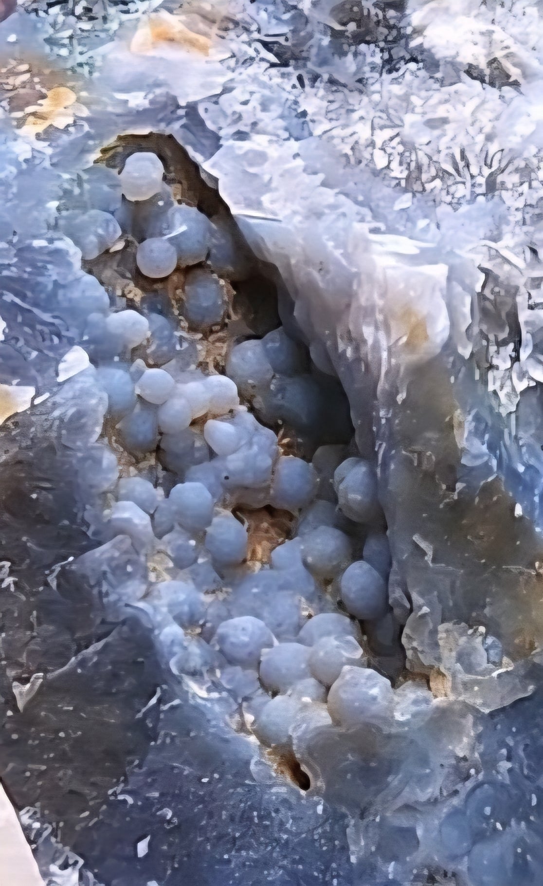 Ocean Jasper druzy showing micro-crystals and botryoidal