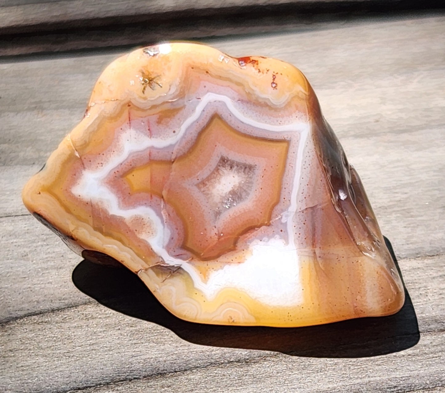 Polished orange and white banded agate TA331