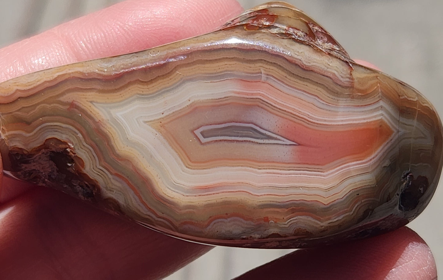 Polished Mexican fortification agate with iron-rich red center TA263
