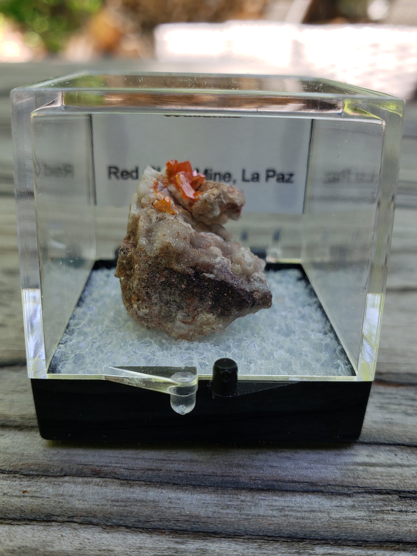 Red Cloud Wulfenite on Matrix, Arizona, Perky Box. SP224