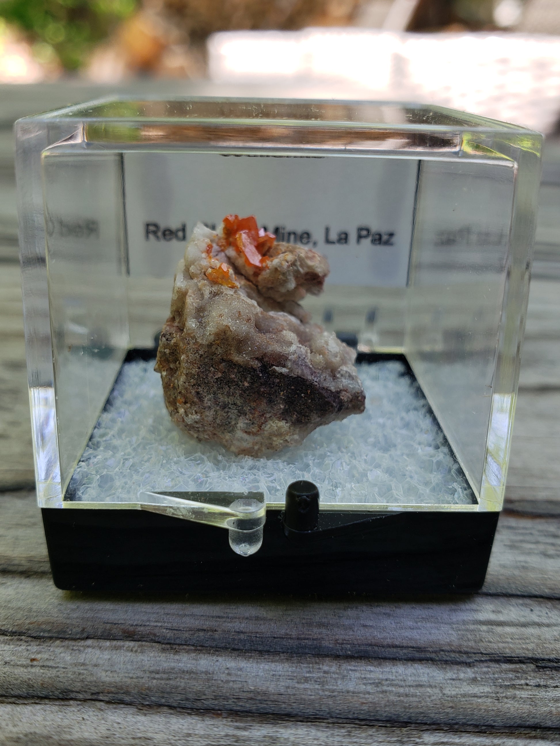 Red Cloud Wulfenite on Matrix, Arizona, Perky Box. SP224