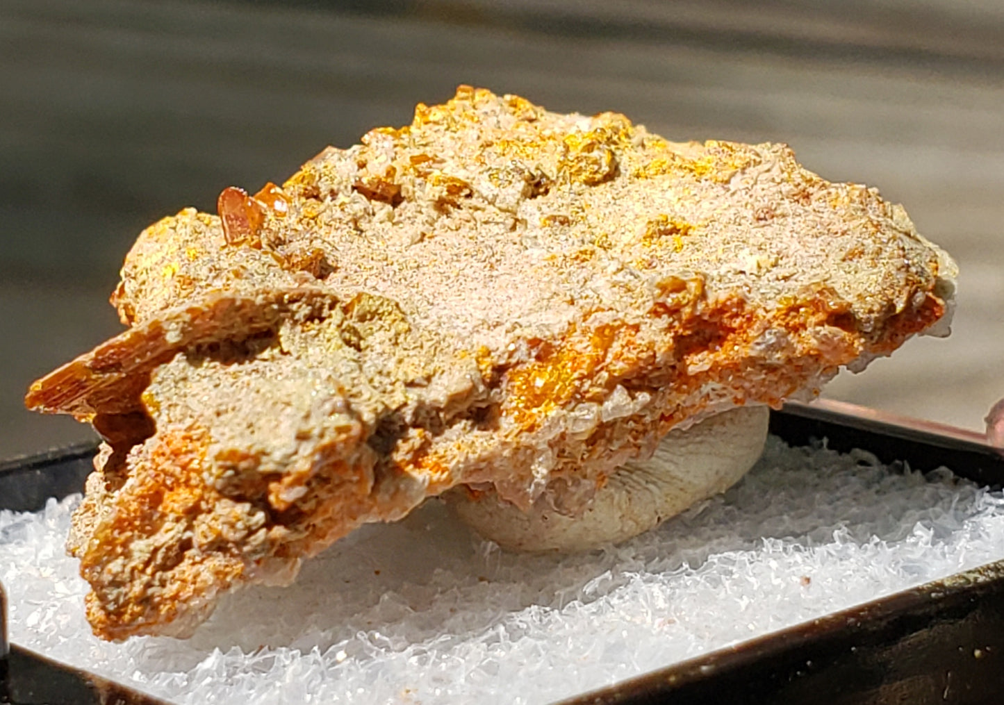 Close-up of Red Cloud Wulfenite on Matrix, Arizona. SP225-2