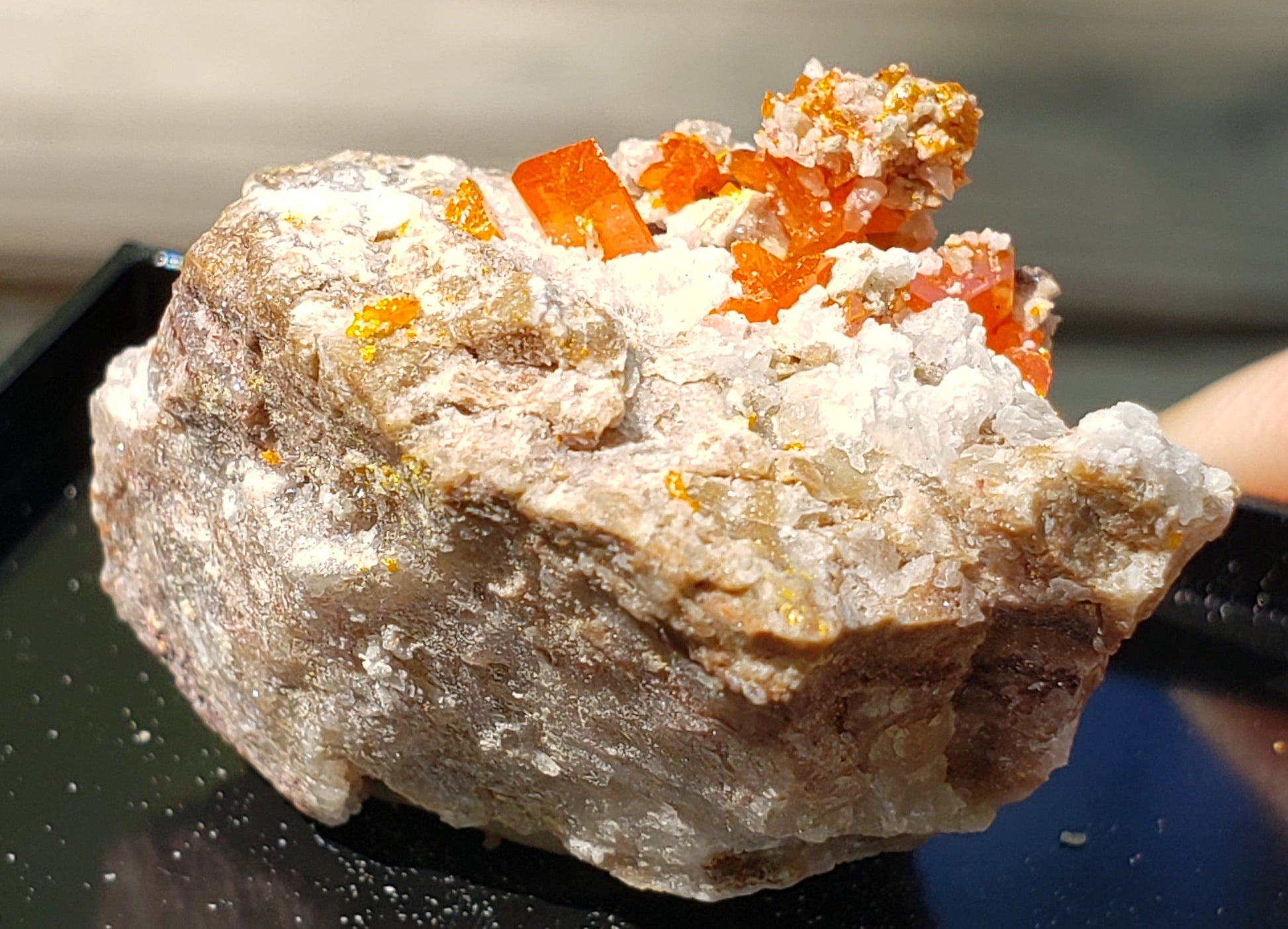 Close-up of Red Cloud Wulfenite on Matrix, Arizona. SP226-3