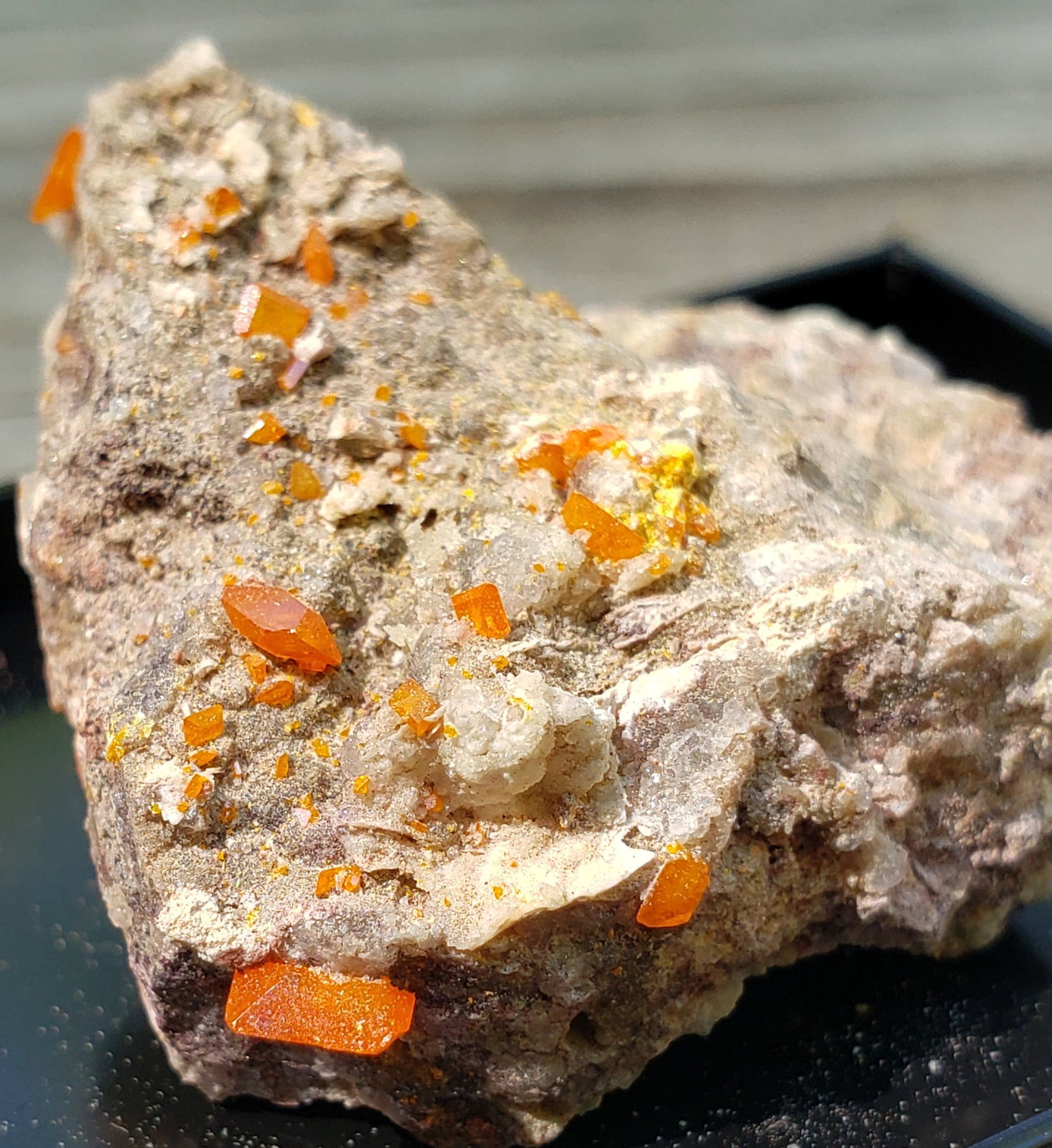 Close-up of Red Cloud Wulfenite on Matrix, Arizona. SP229