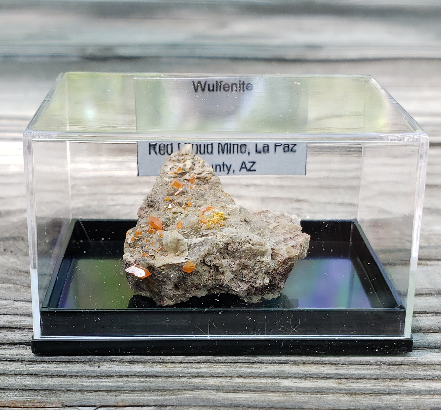 Red Cloud Wulfenite on Matrix, Arizona, Perky Box. SP229
