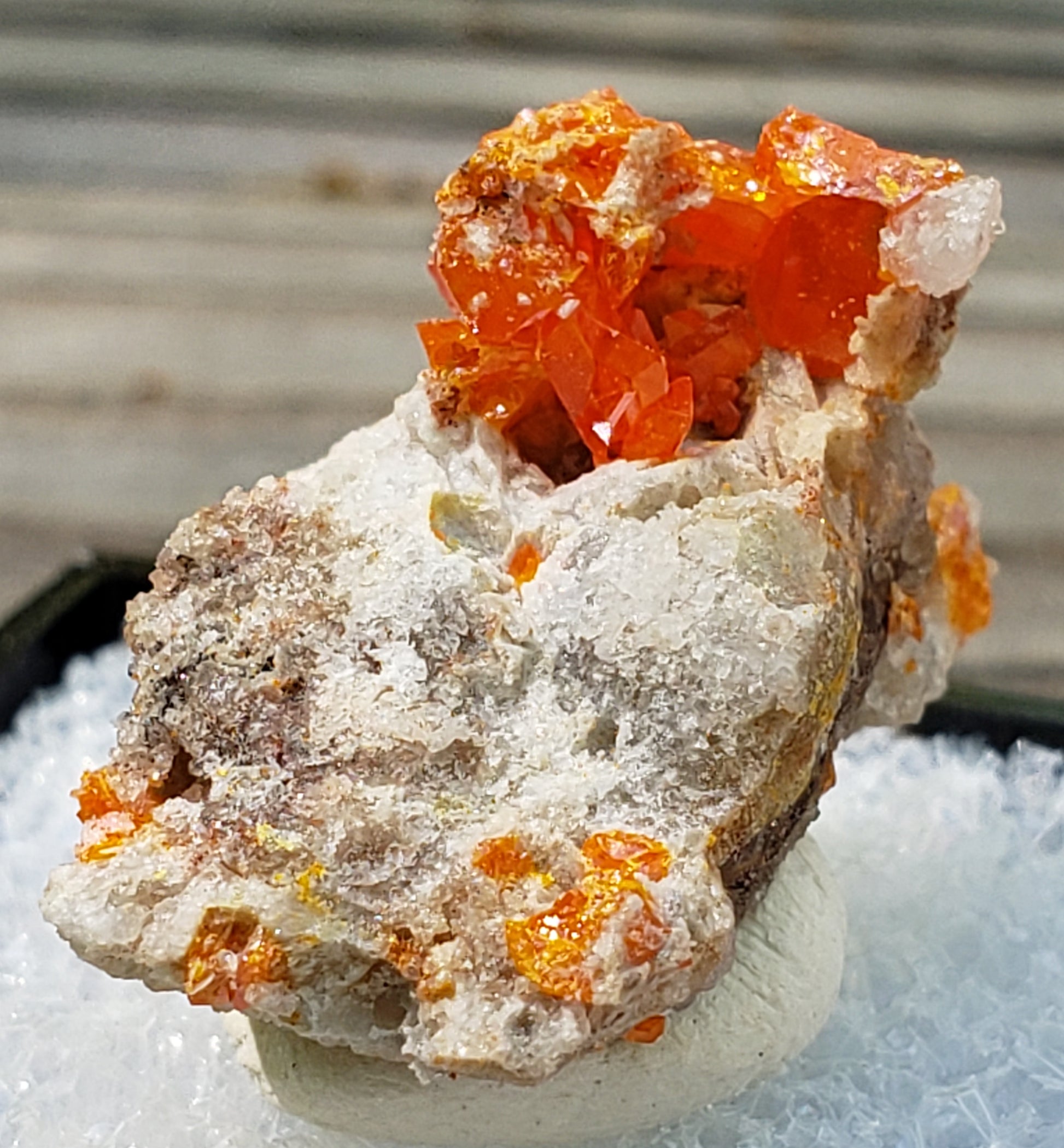 Close-up of Red Cloud Wulfenite on Matrix, Arizona. SP230-1
