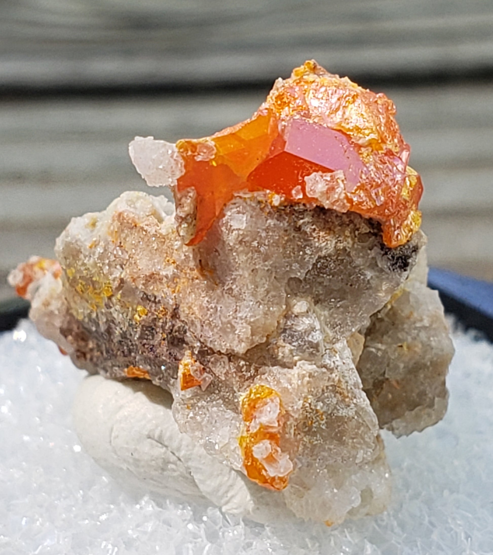 Close-up of Red Cloud Wulfenite on Matrix, Arizona. SP230-3