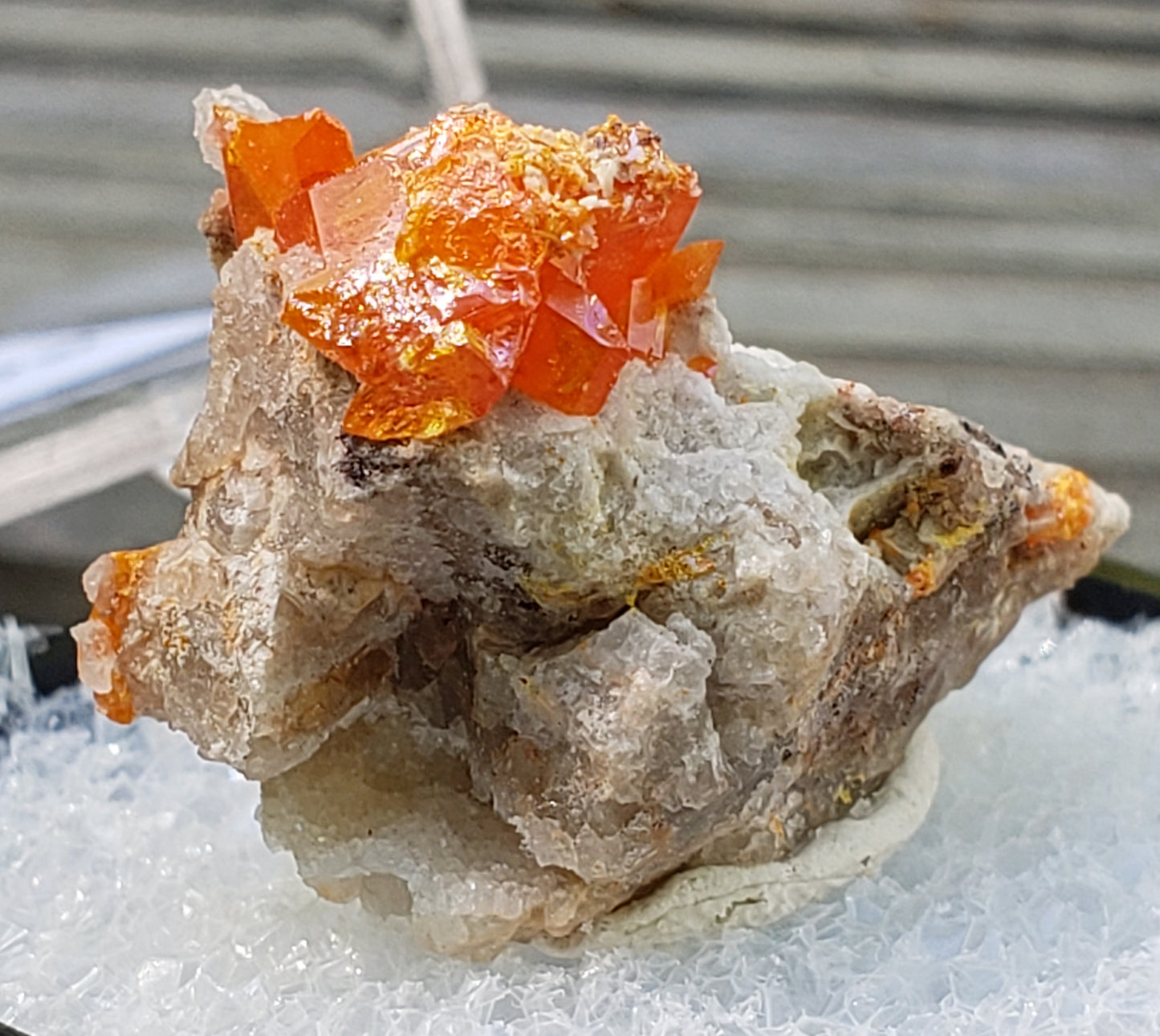 Close-up of Red Cloud Wulfenite on Matrix, Arizona. SP230-4