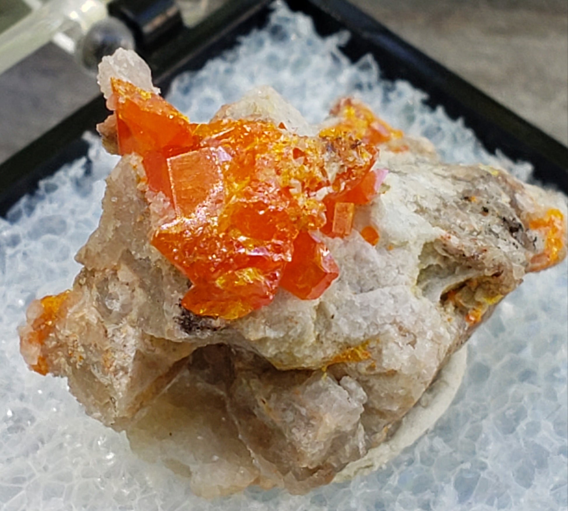 Close-up of Red Cloud Wulfenite on Matrix, Arizona. SP230-5