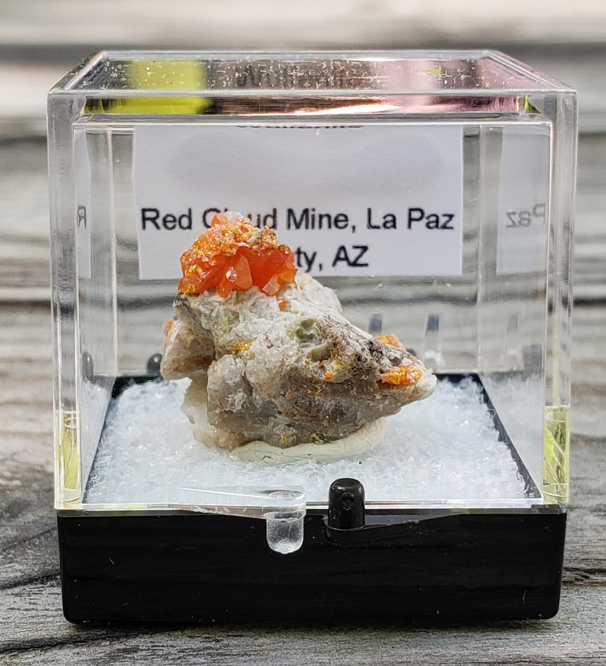 Red Cloud Wulfenite on Matrix, Arizona, Perky Box. SP230-6