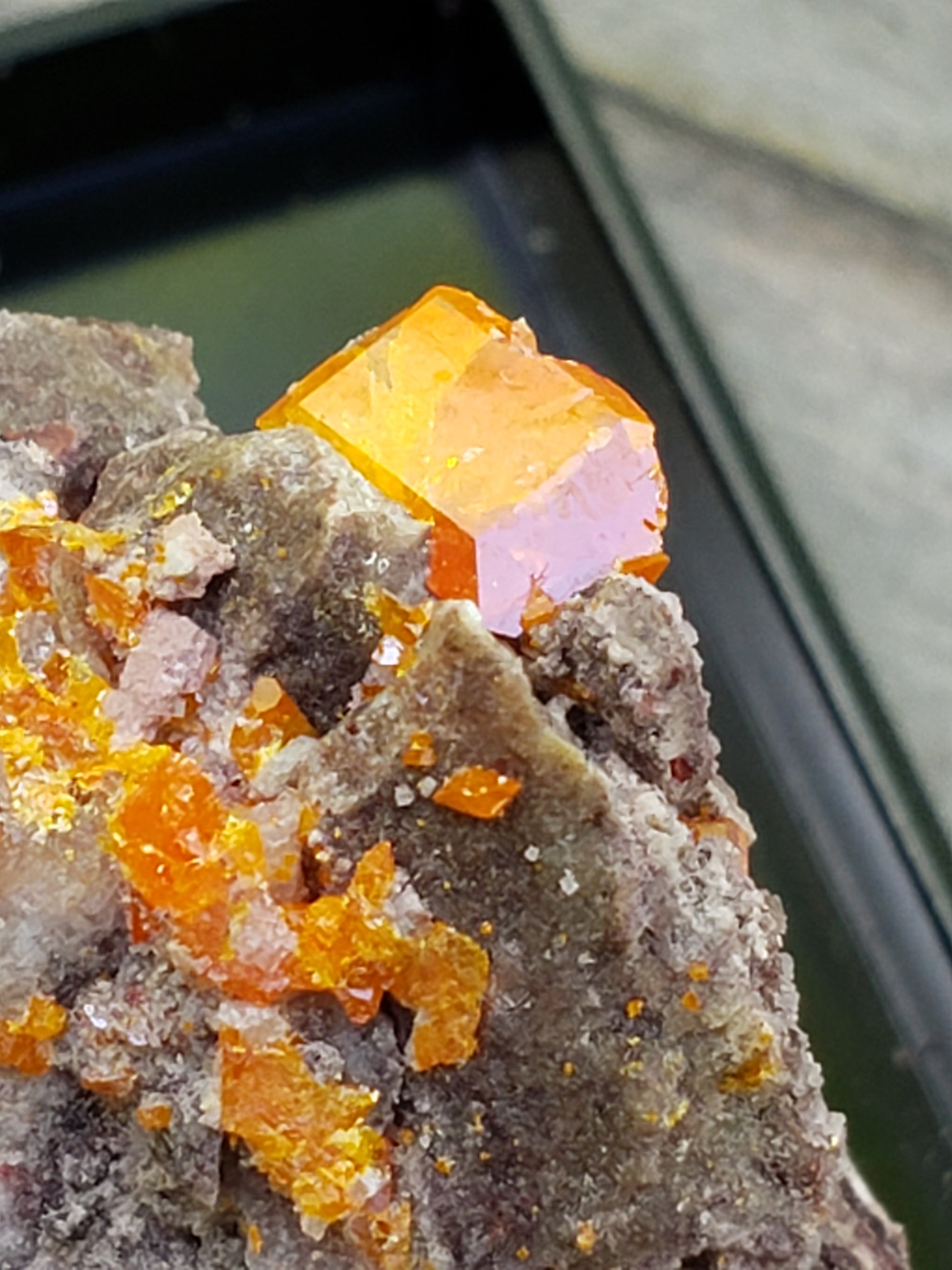 Close-up of Red Cloud Wulfenite on Matrix, Arizona. SP231-3