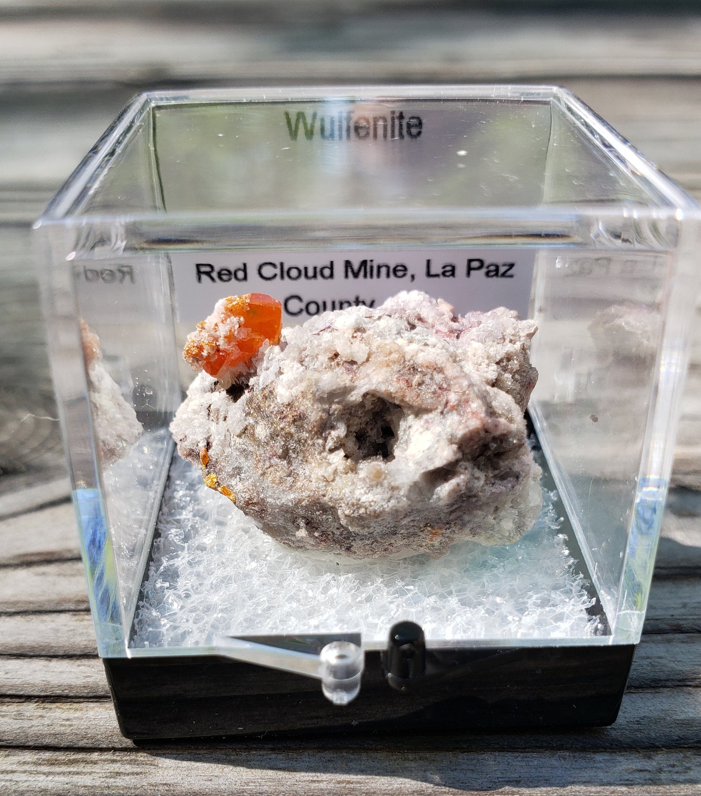 Red Cloud Wulfenite on Matrix, Arizona, Perky Box. SP234