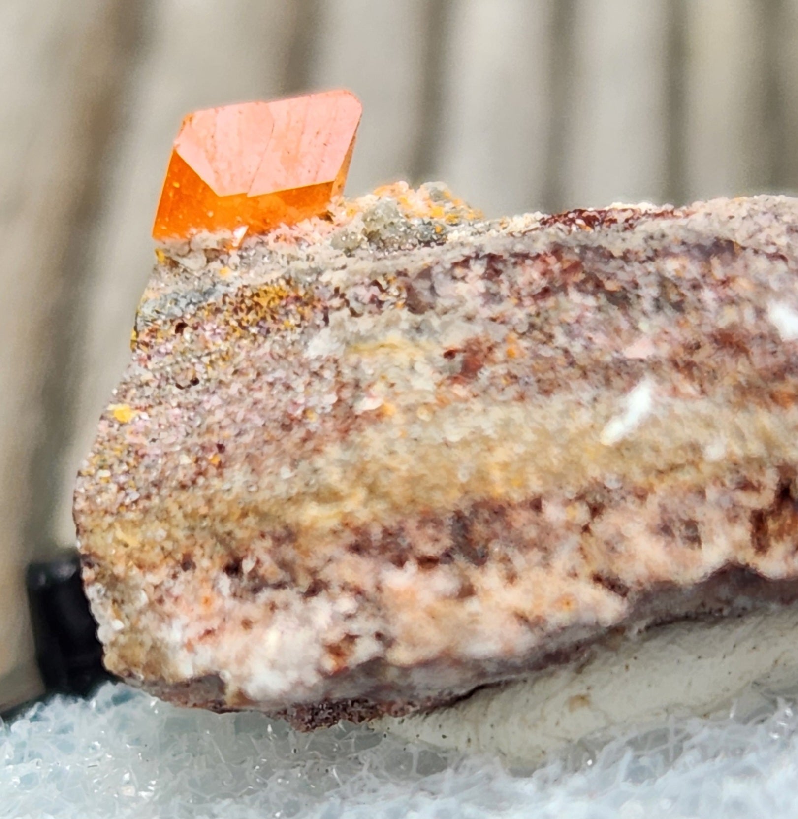 Close-up of Red Cloud Wulfenite on Matrix, Arizona. SP242-2
