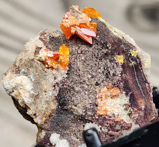 Close-up of Red Cloud Wulfenite on Matrix, Arizona. SP245-1
