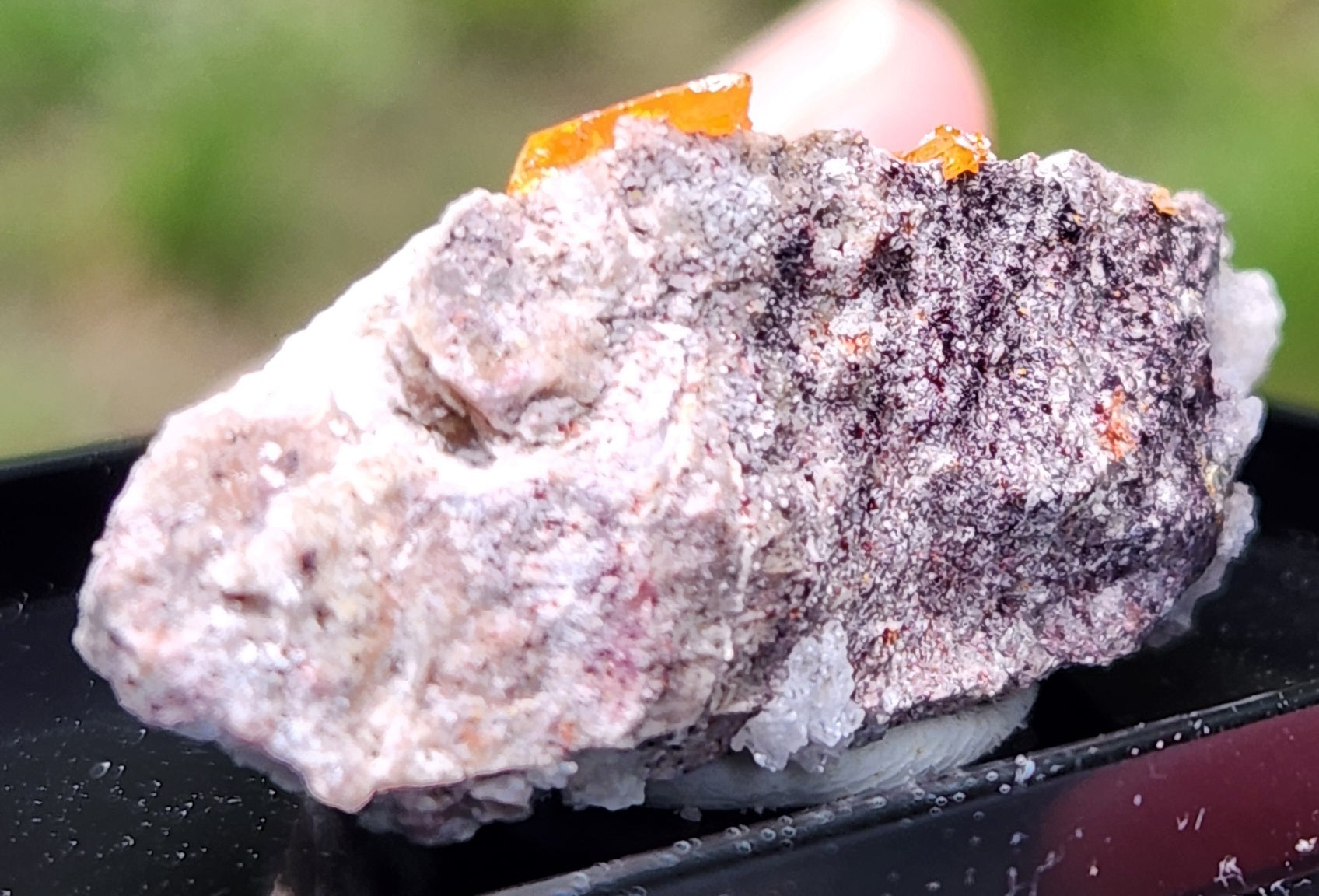 Red Cloud Wulfenite on Matrix, Arizona, Thumbnail. SP253-2