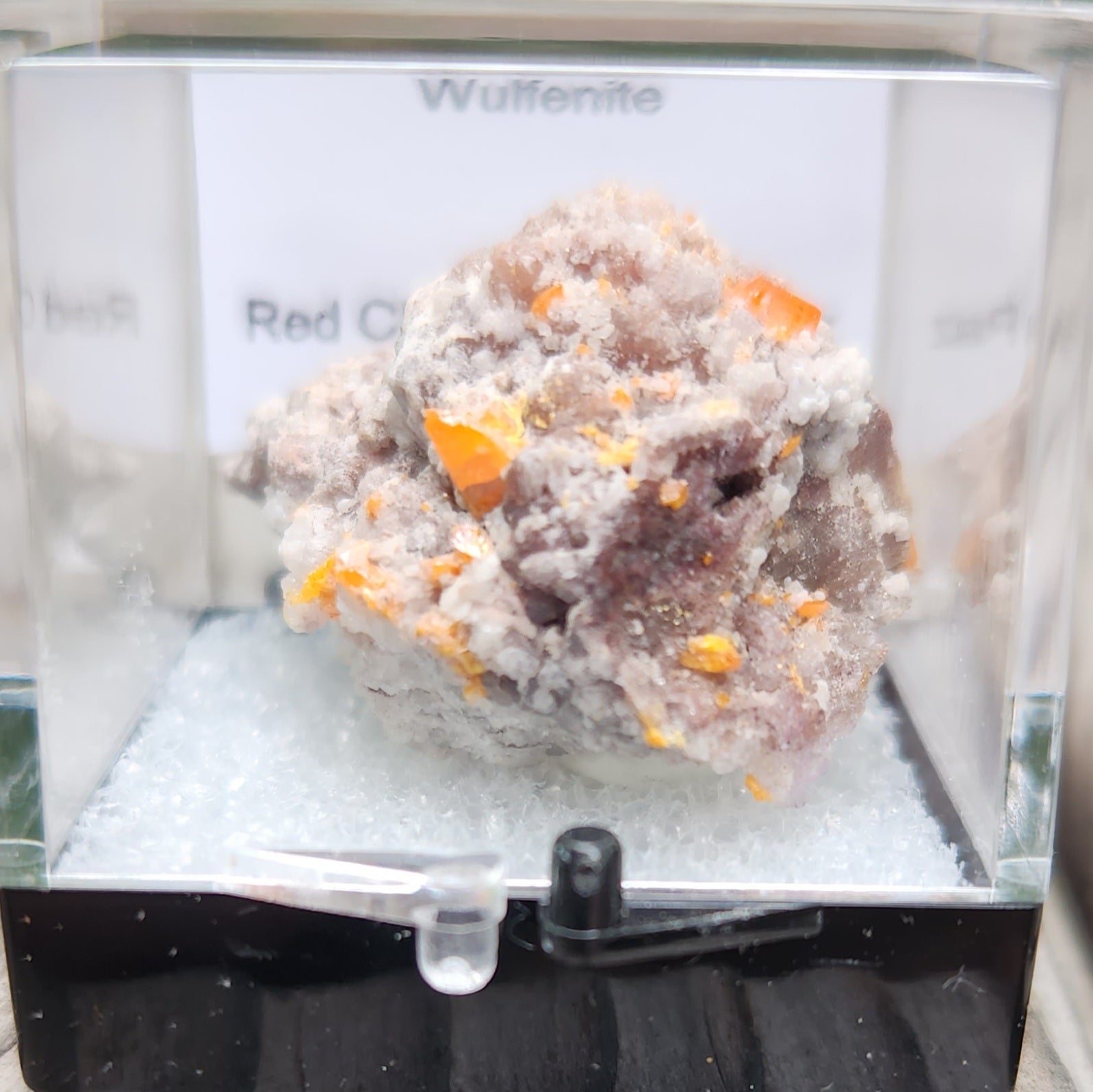 Red Cloud Wulfenite on Matrix, Arizona, Perky Box. SP256-3